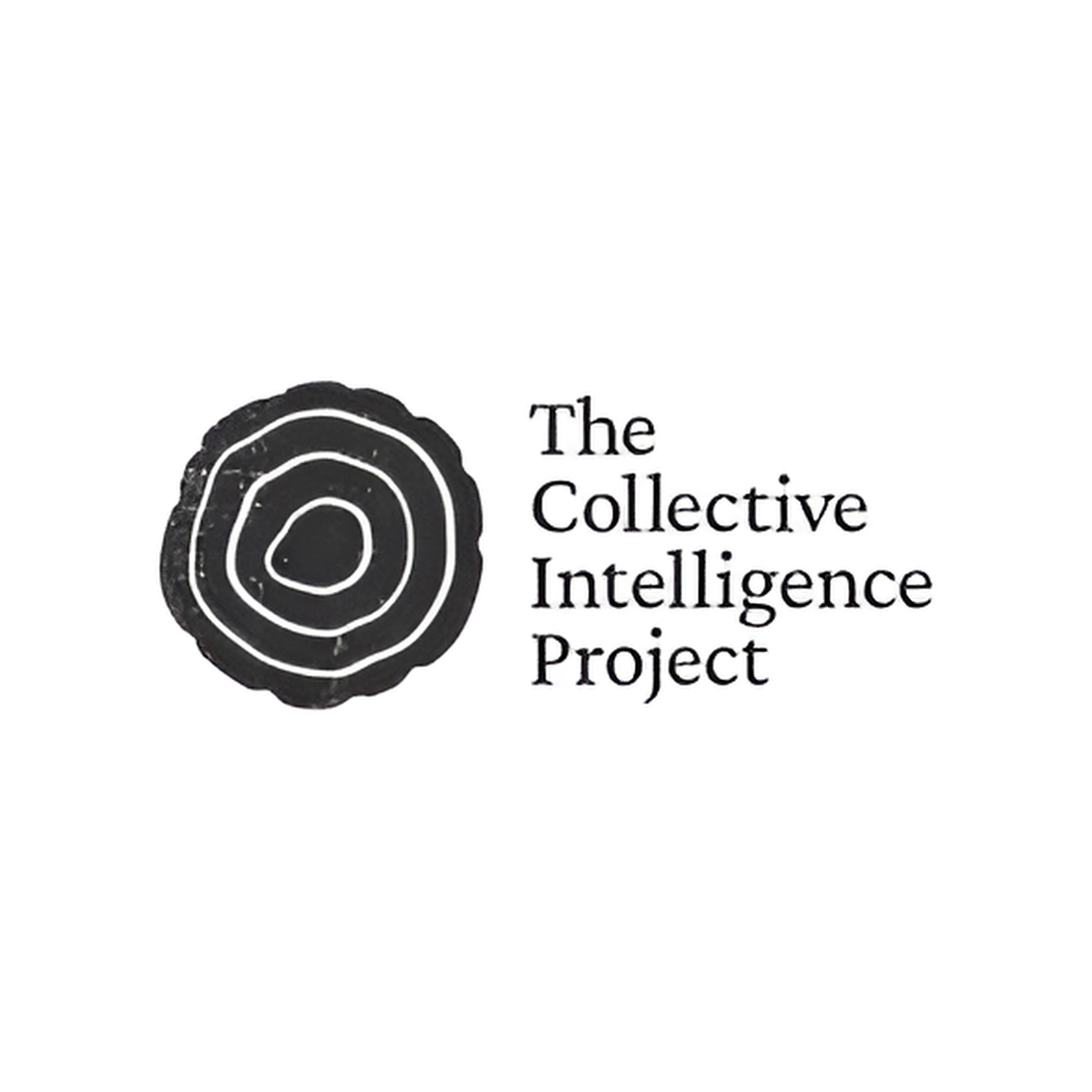 Collective Intelligence Project