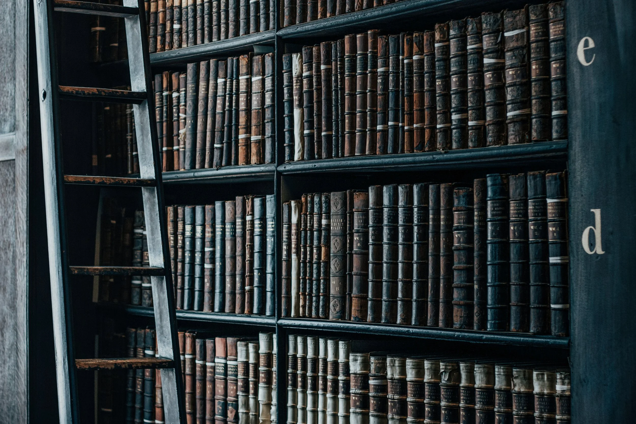 An introduction to AI policy and law