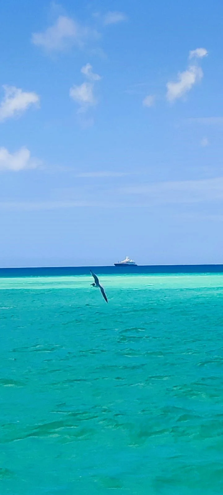 Scopri l´Isola saona.