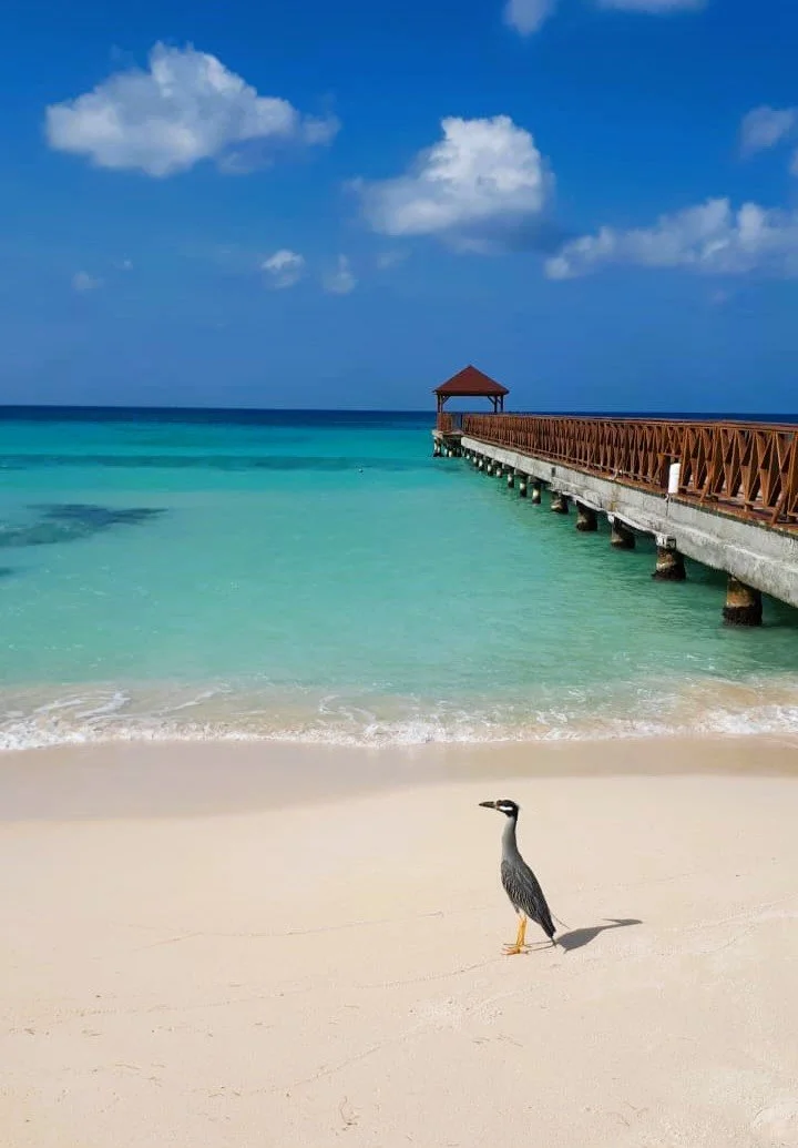 playa Dominicus.jpeg