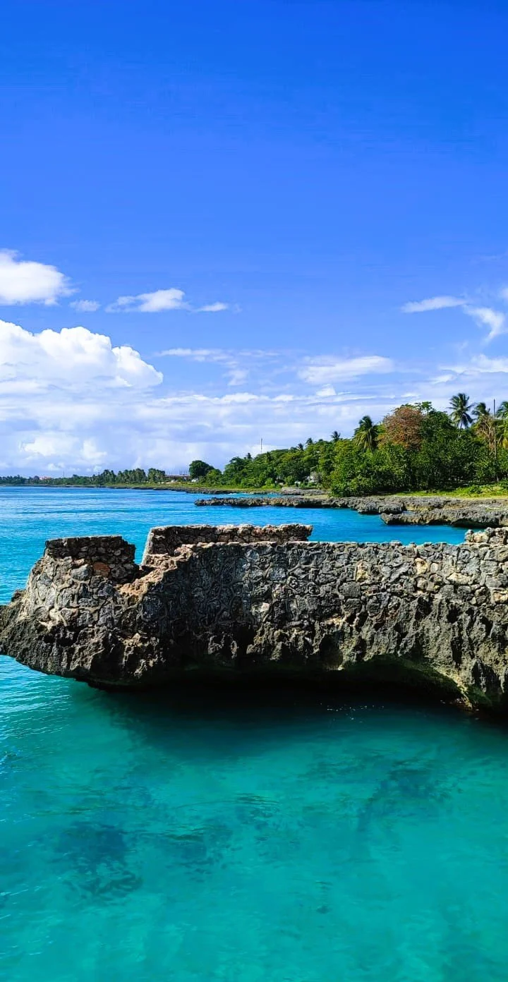 Scopri l´Isola saona, playa toro, canto de la playa