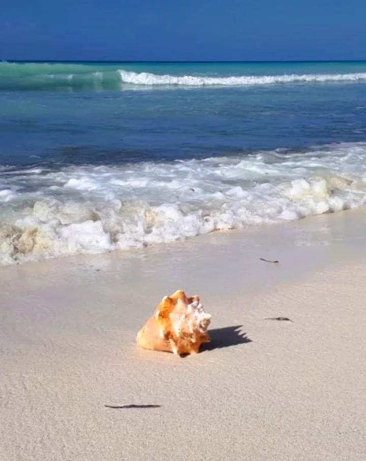 Soggiorno a Bayahibe o Dominicus.