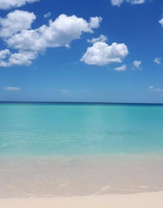 bahia de las aguilas