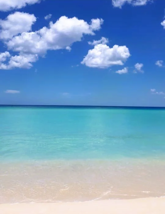 Scopri l´Isola saona, playa toro, canto de la playa.