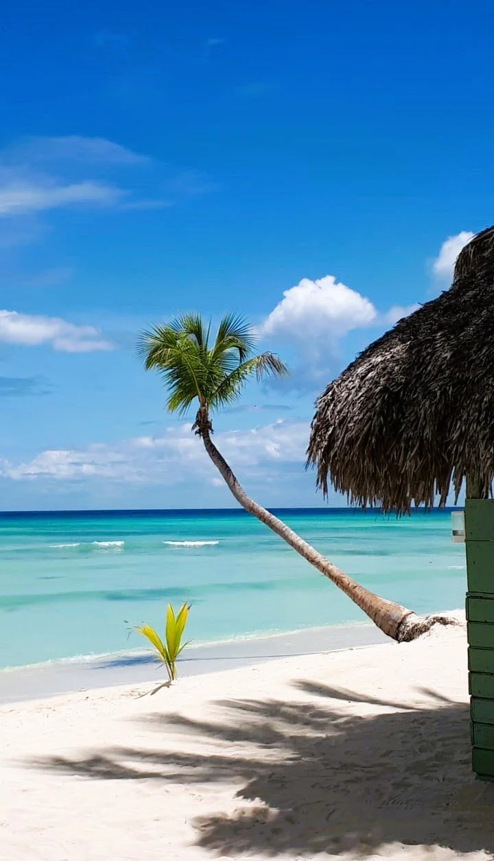 Canto de la playa, saona