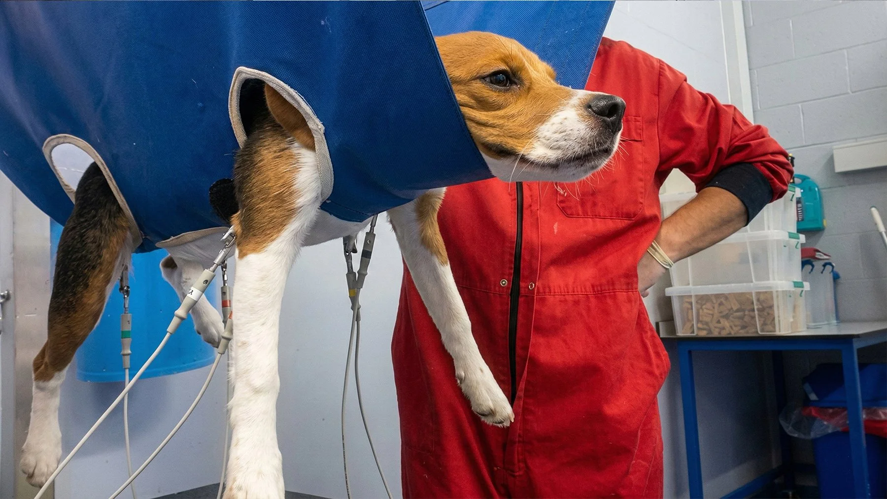 Toxicity_Testing_AnimalsInternational (33).jpg