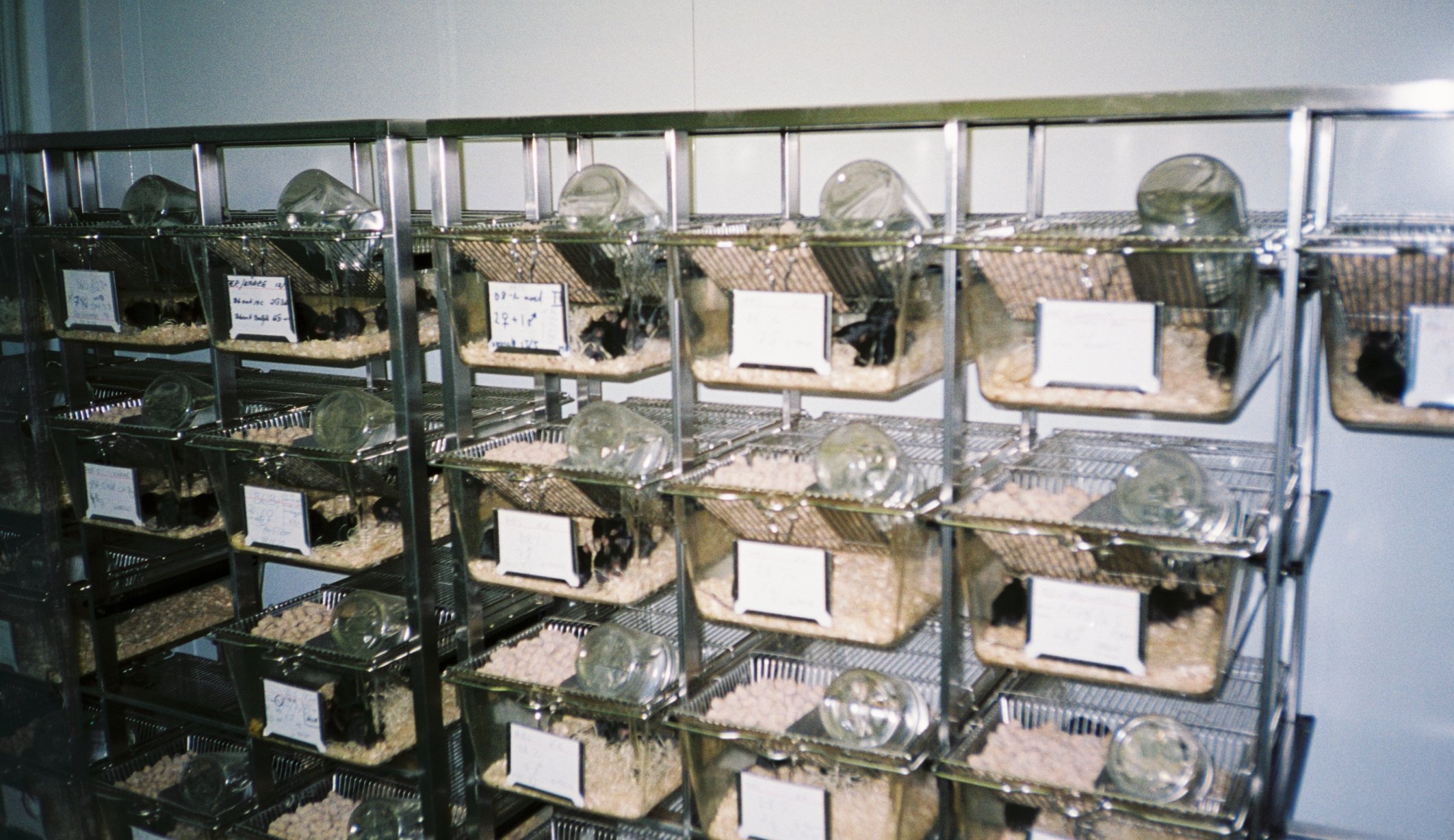A95867-00026.jpg