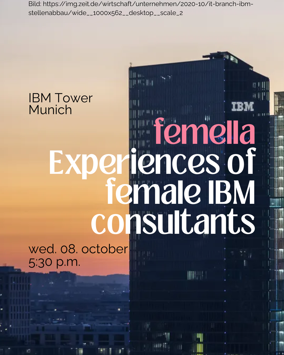 Experiences of female IBM consultants
