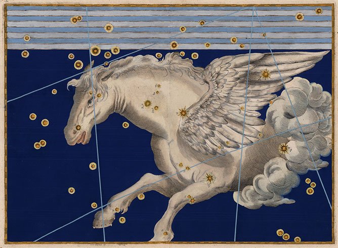 pegasus.jpeg