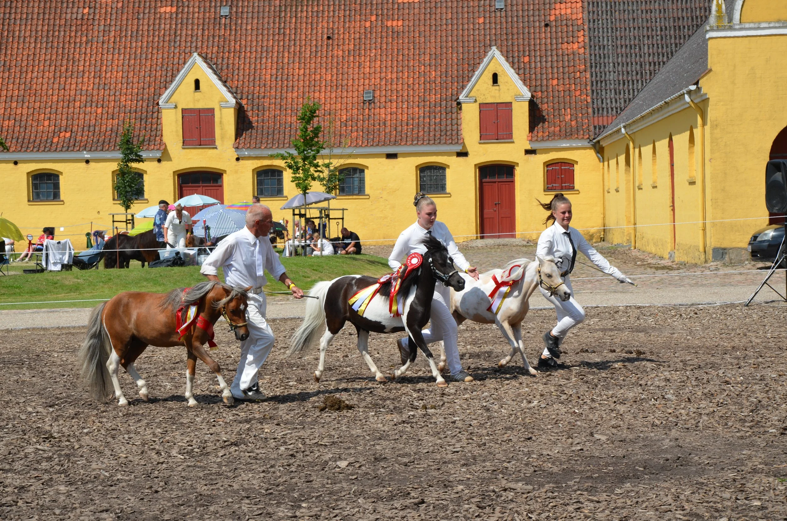 DSC_3955.JPG