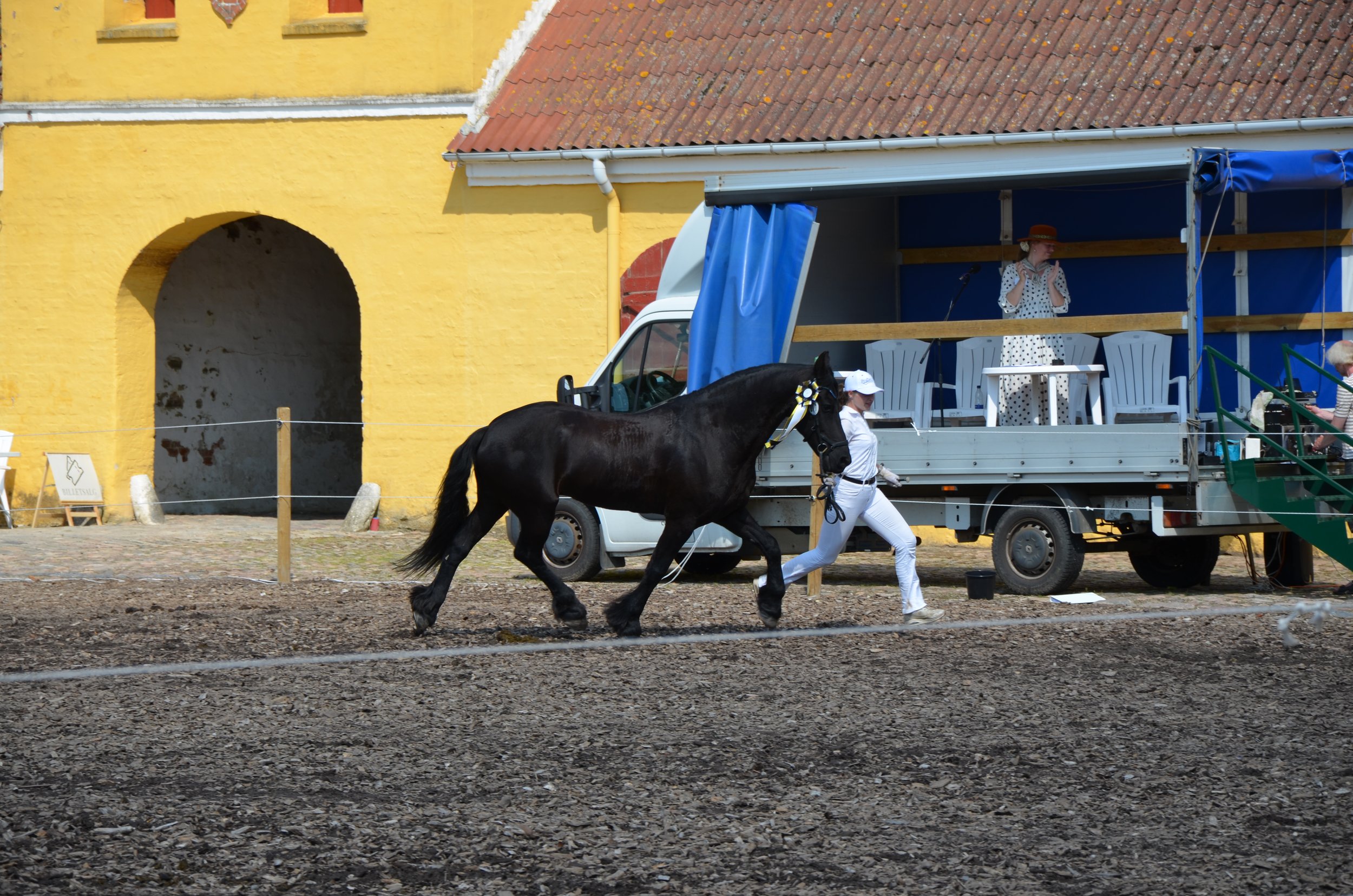 DSC_4006.JPG