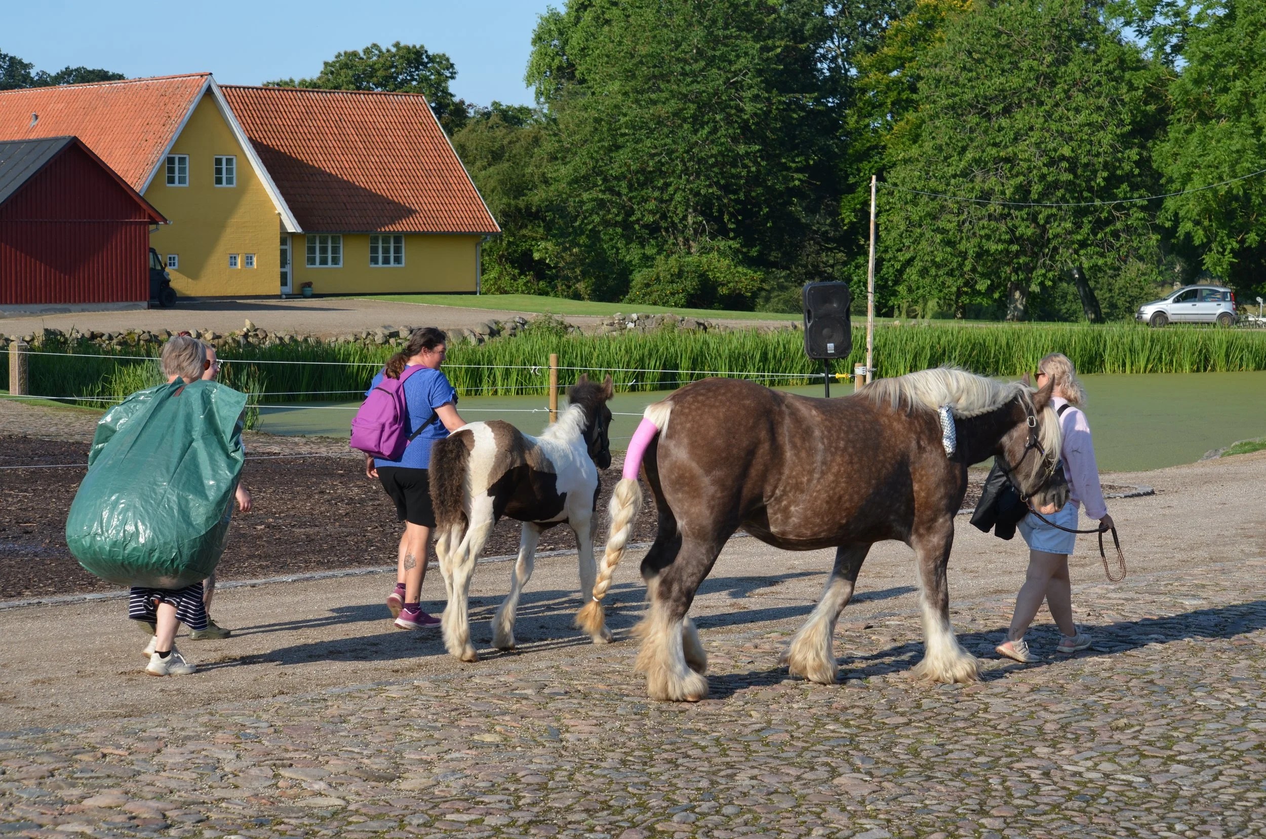 DSC_3685.JPG