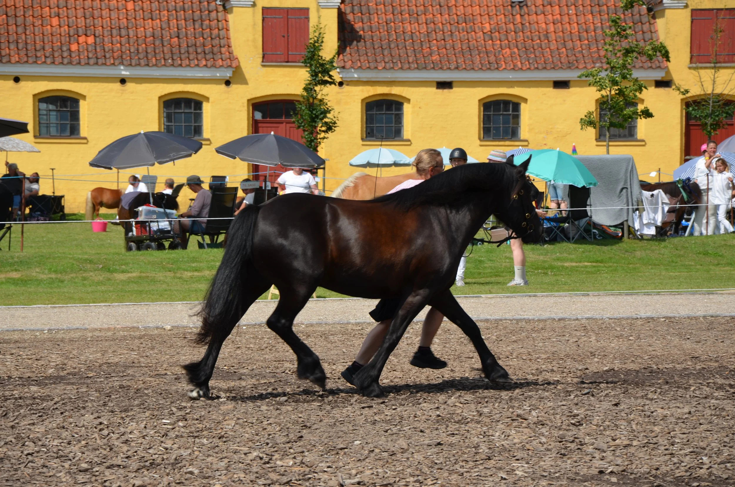 DSC_3988.JPG