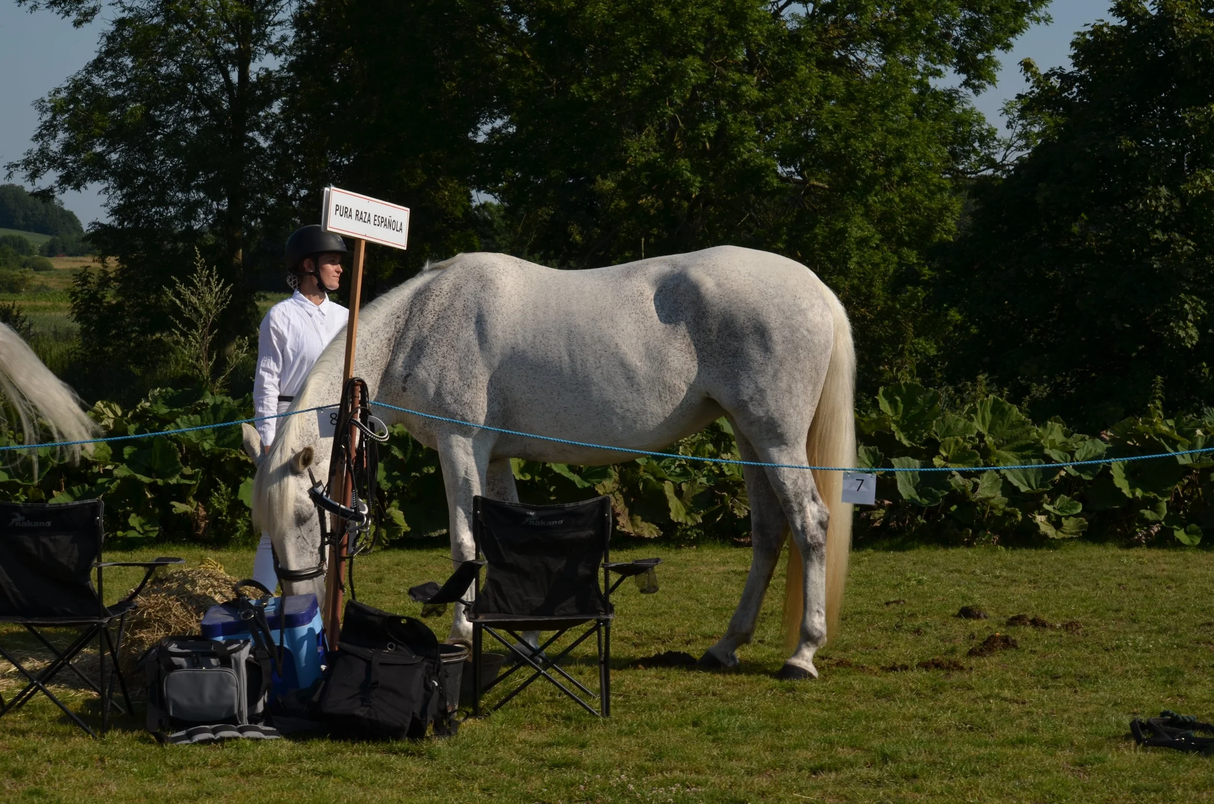 DSC_3725.JPG