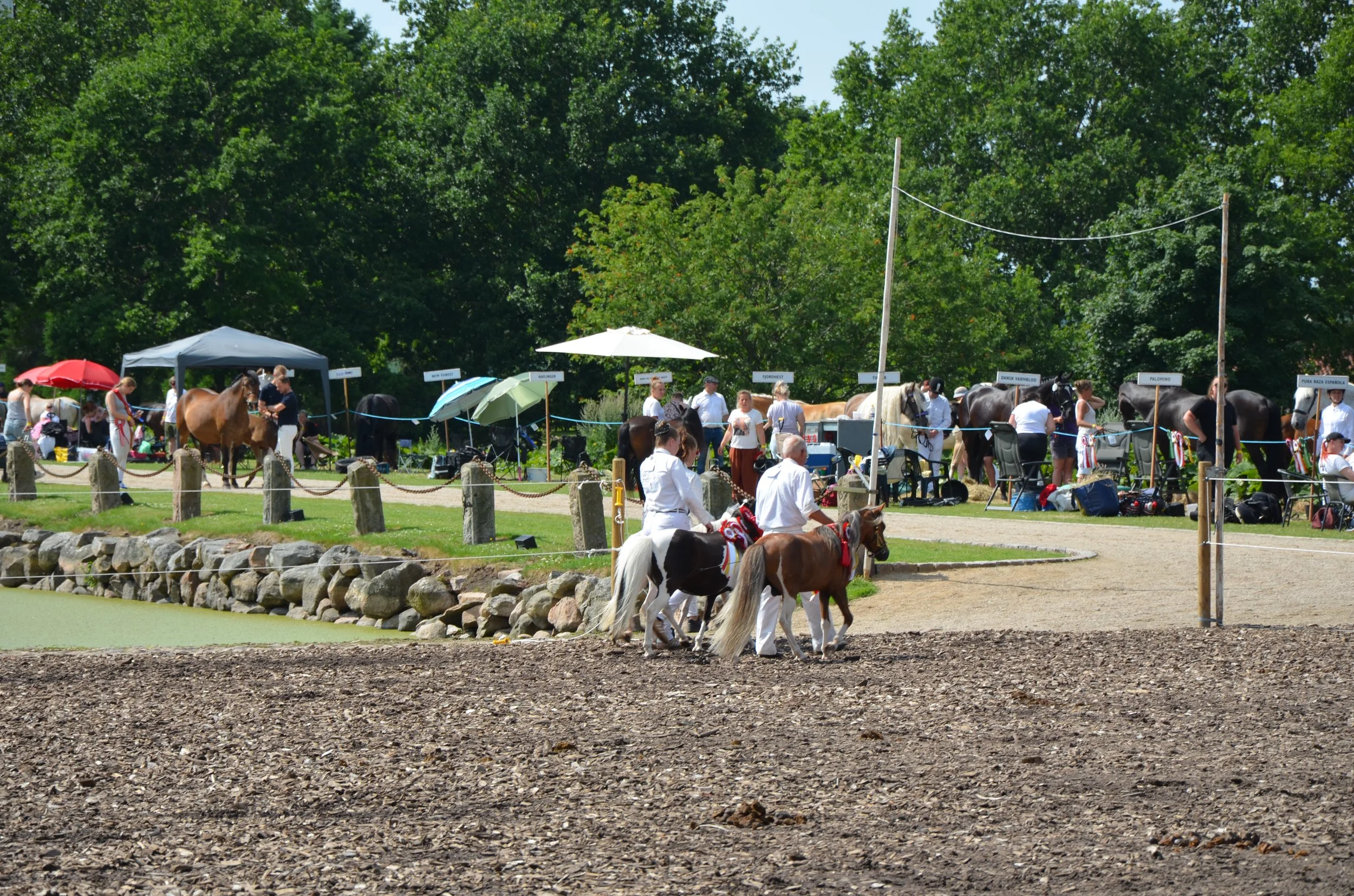 DSC_3978.JPG