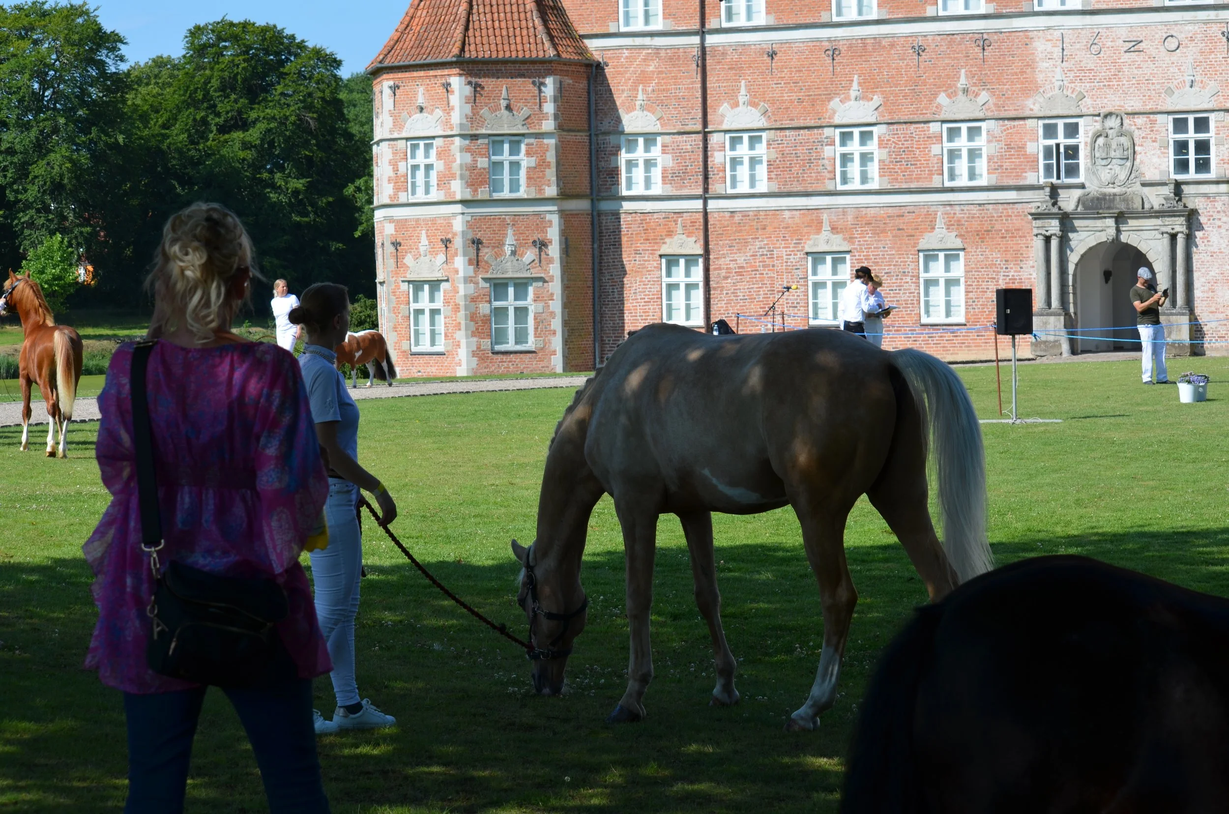 DSC_3789.JPG