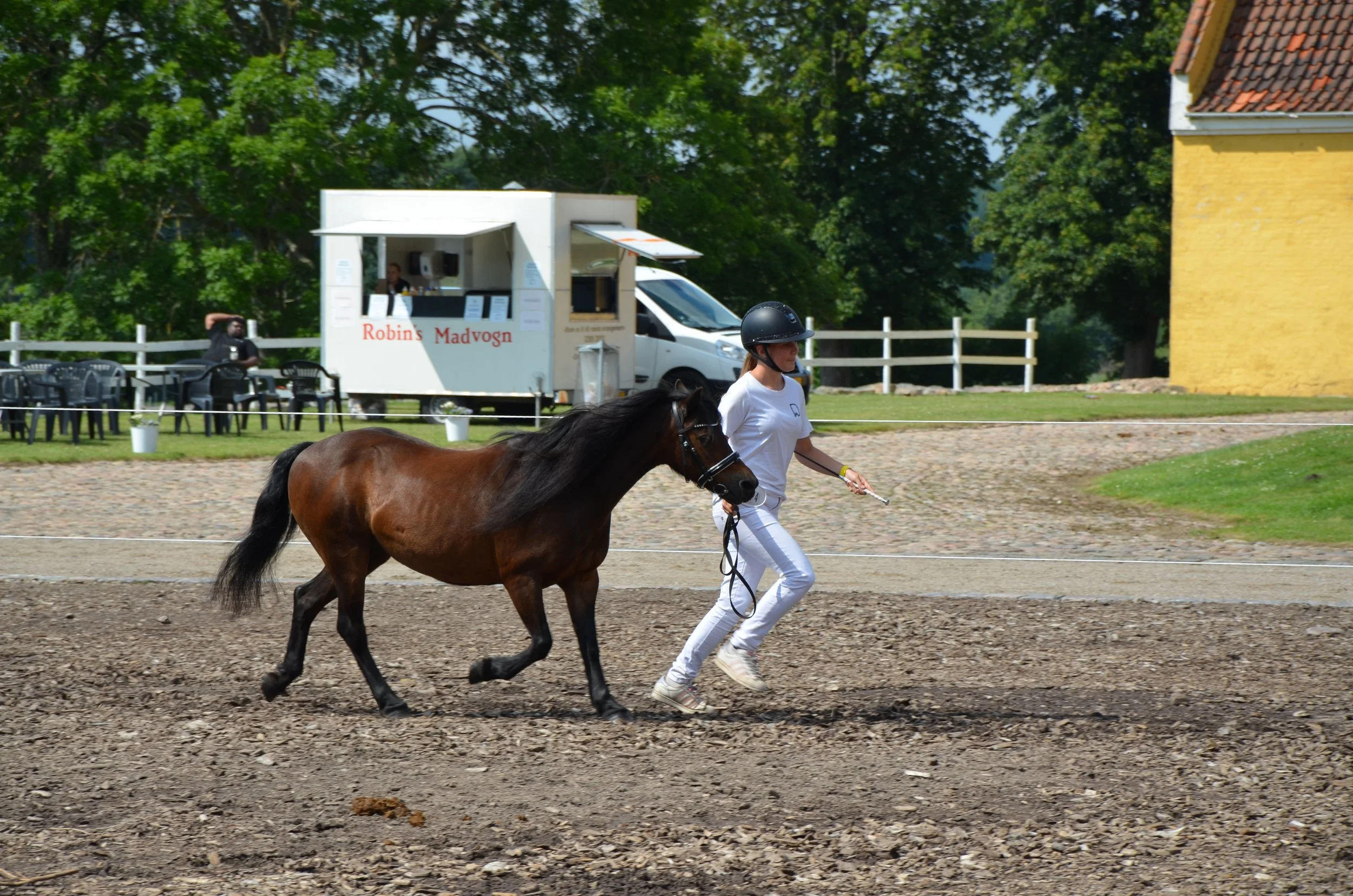 DSC_3991.JPG