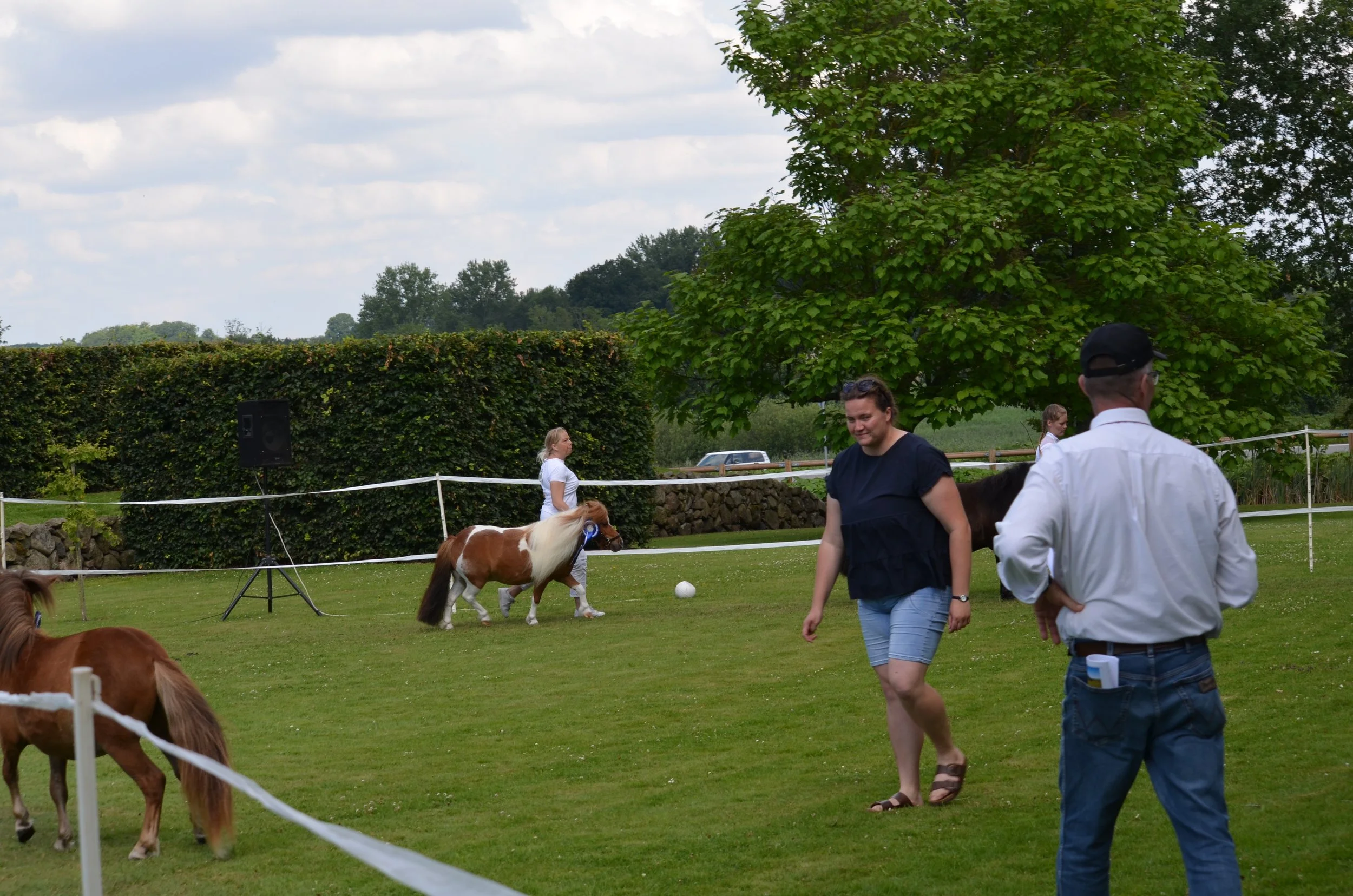 DSC_3824.JPG