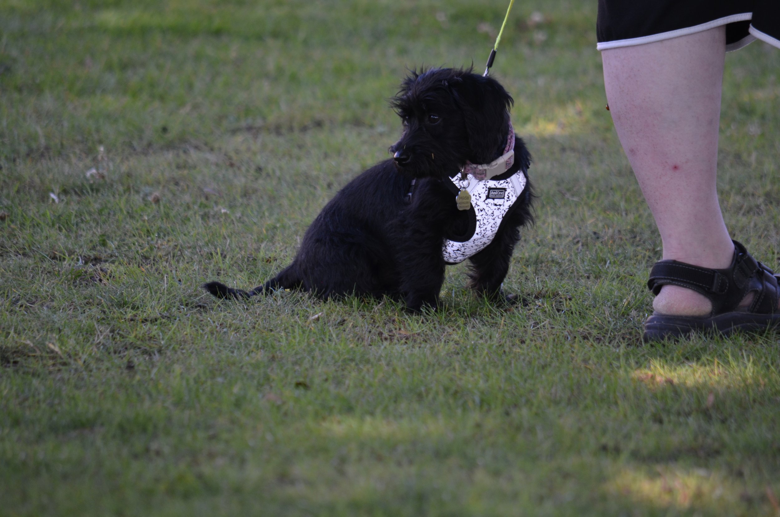 DSC_3761.JPG