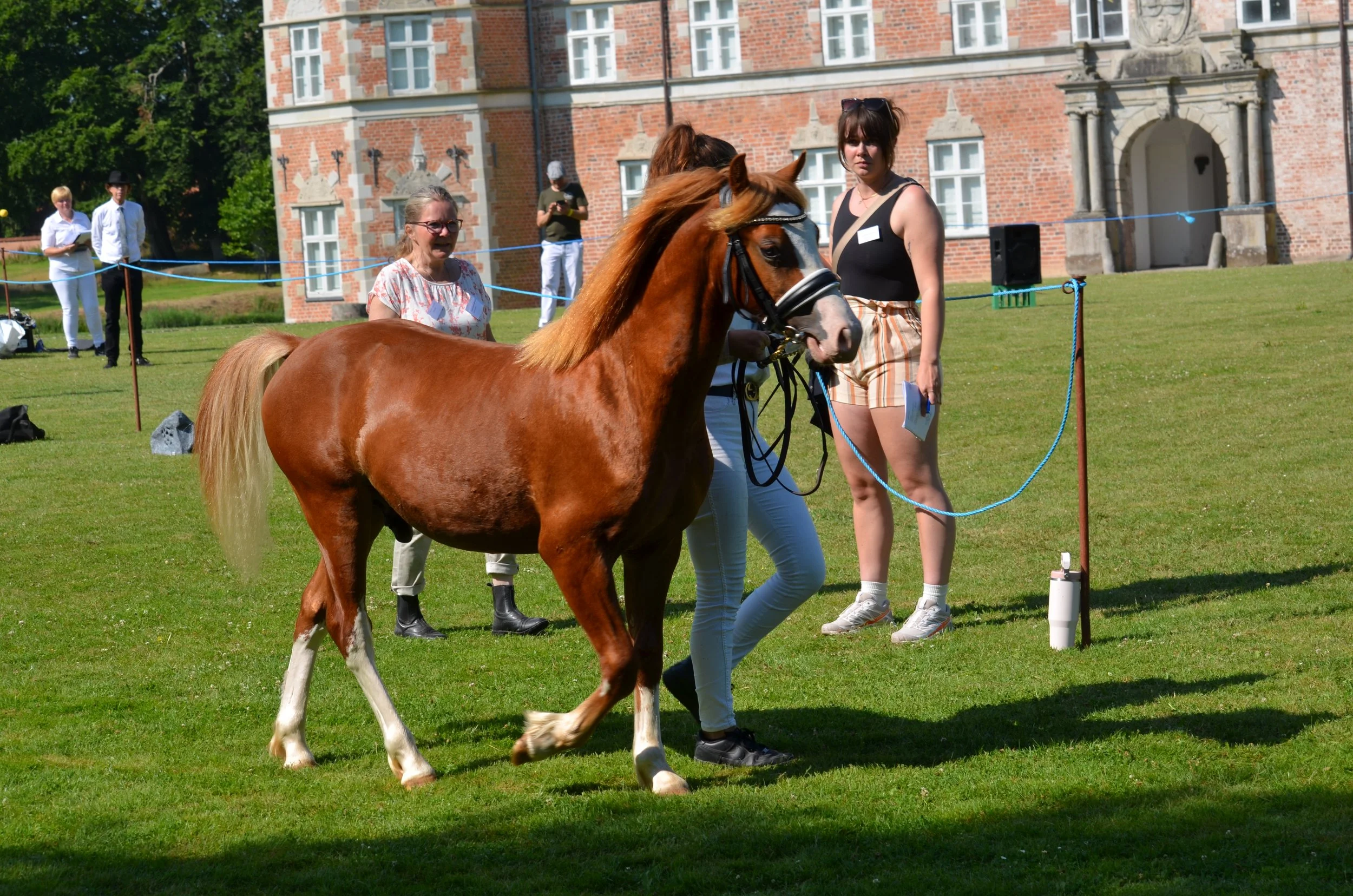 DSC_3794.JPG