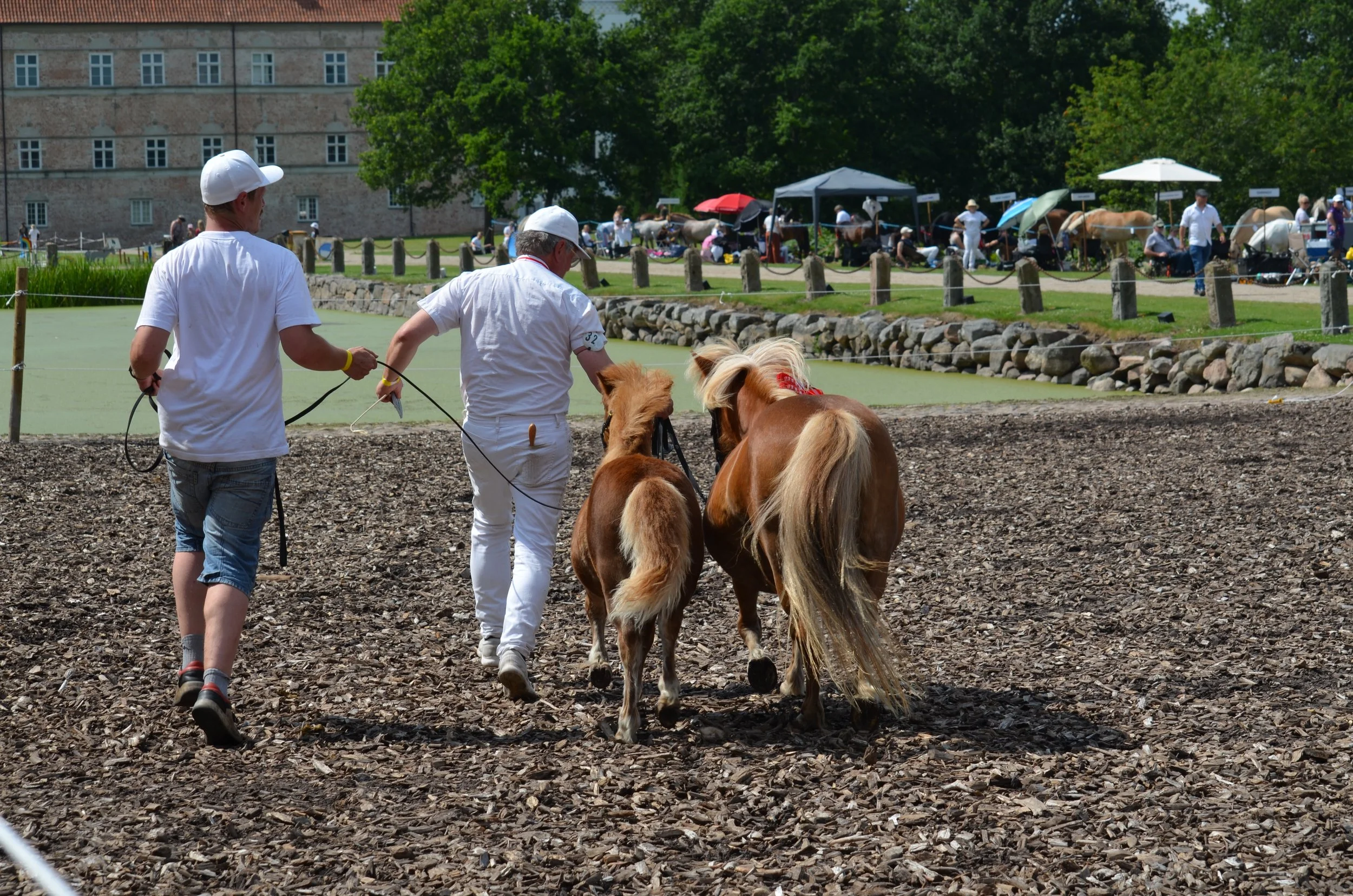 DSC_3946.JPG