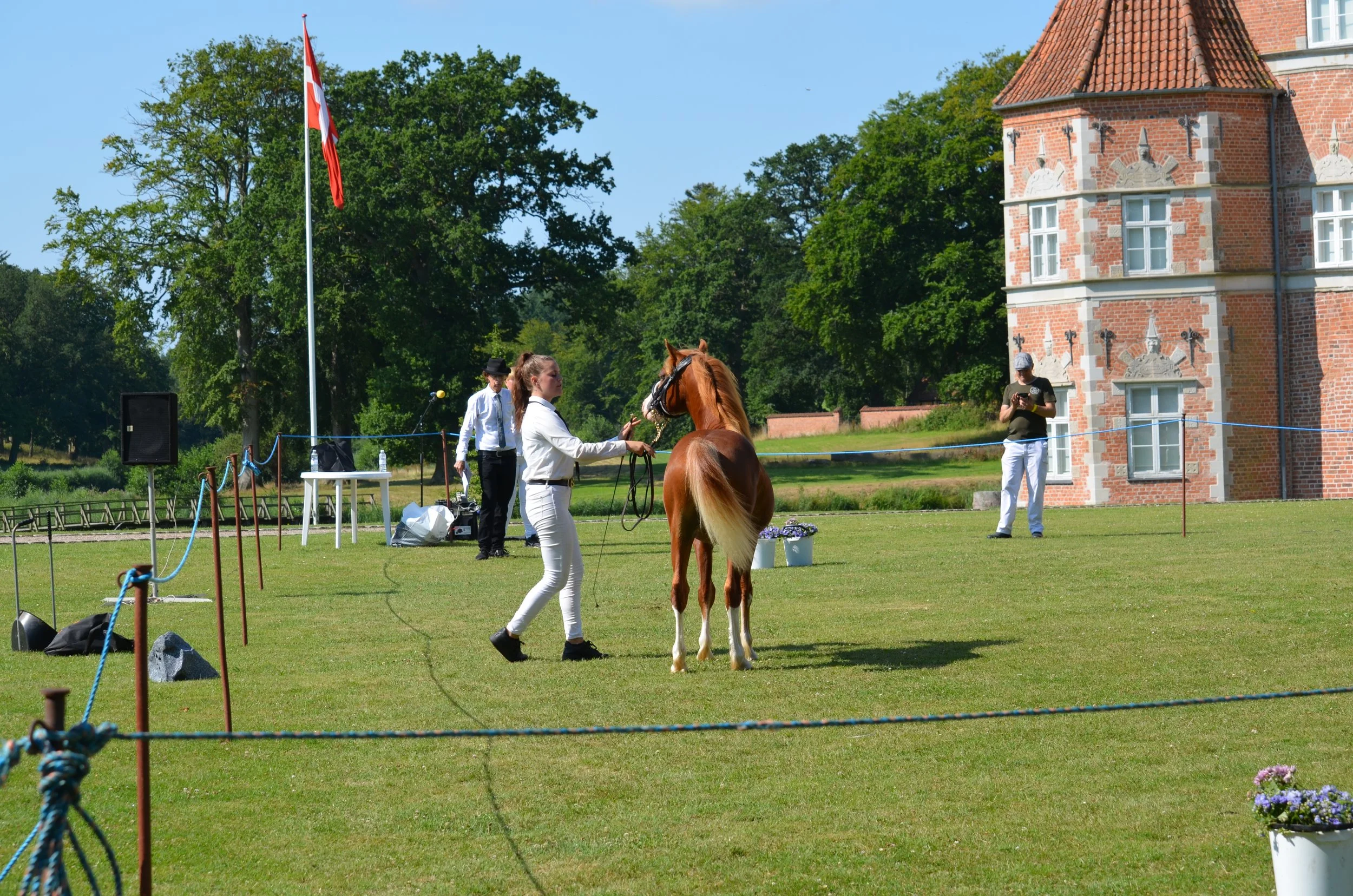 DSC_3795.JPG