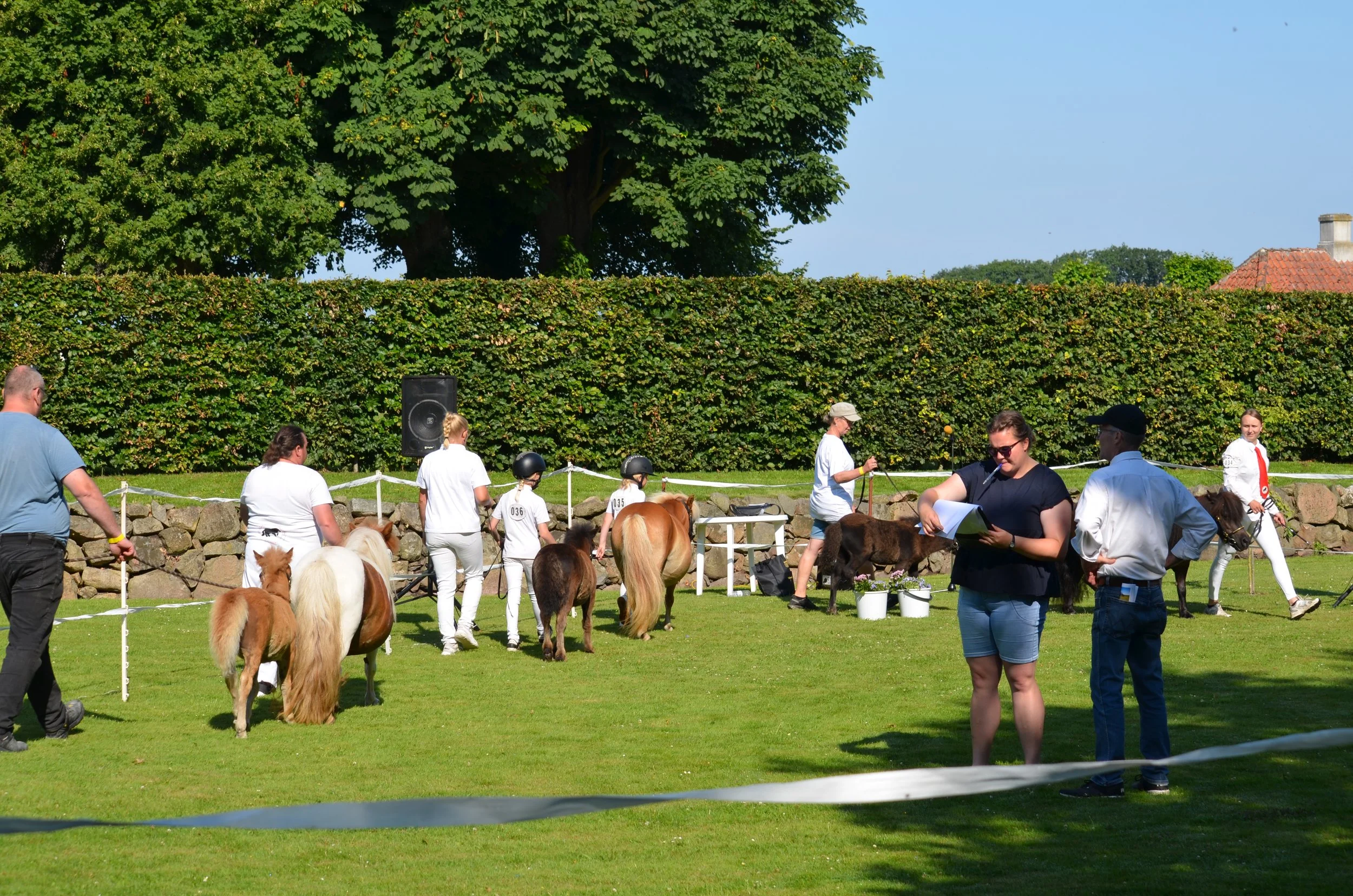 DSC_3755.JPG