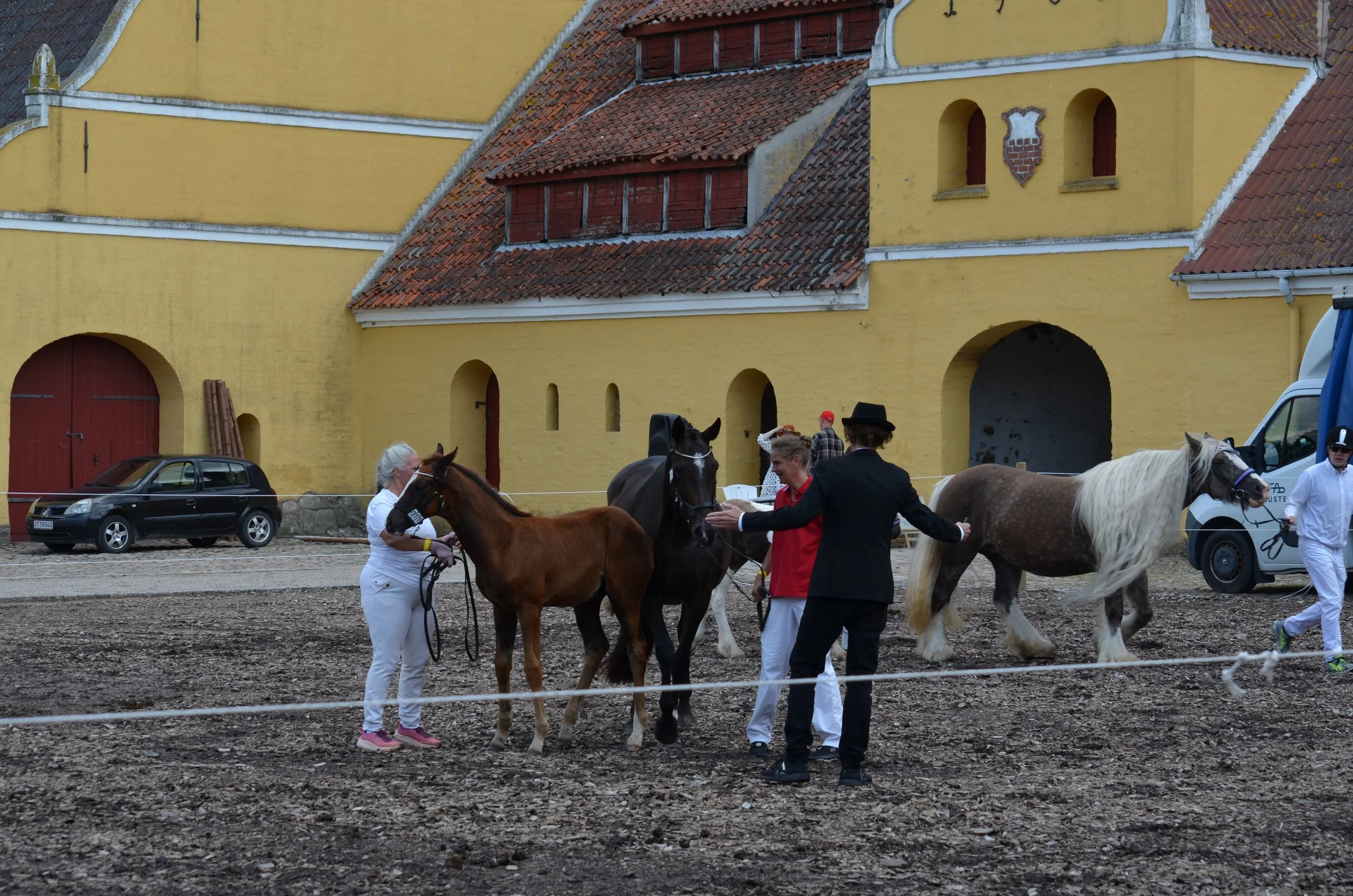 DSC_3869.JPG