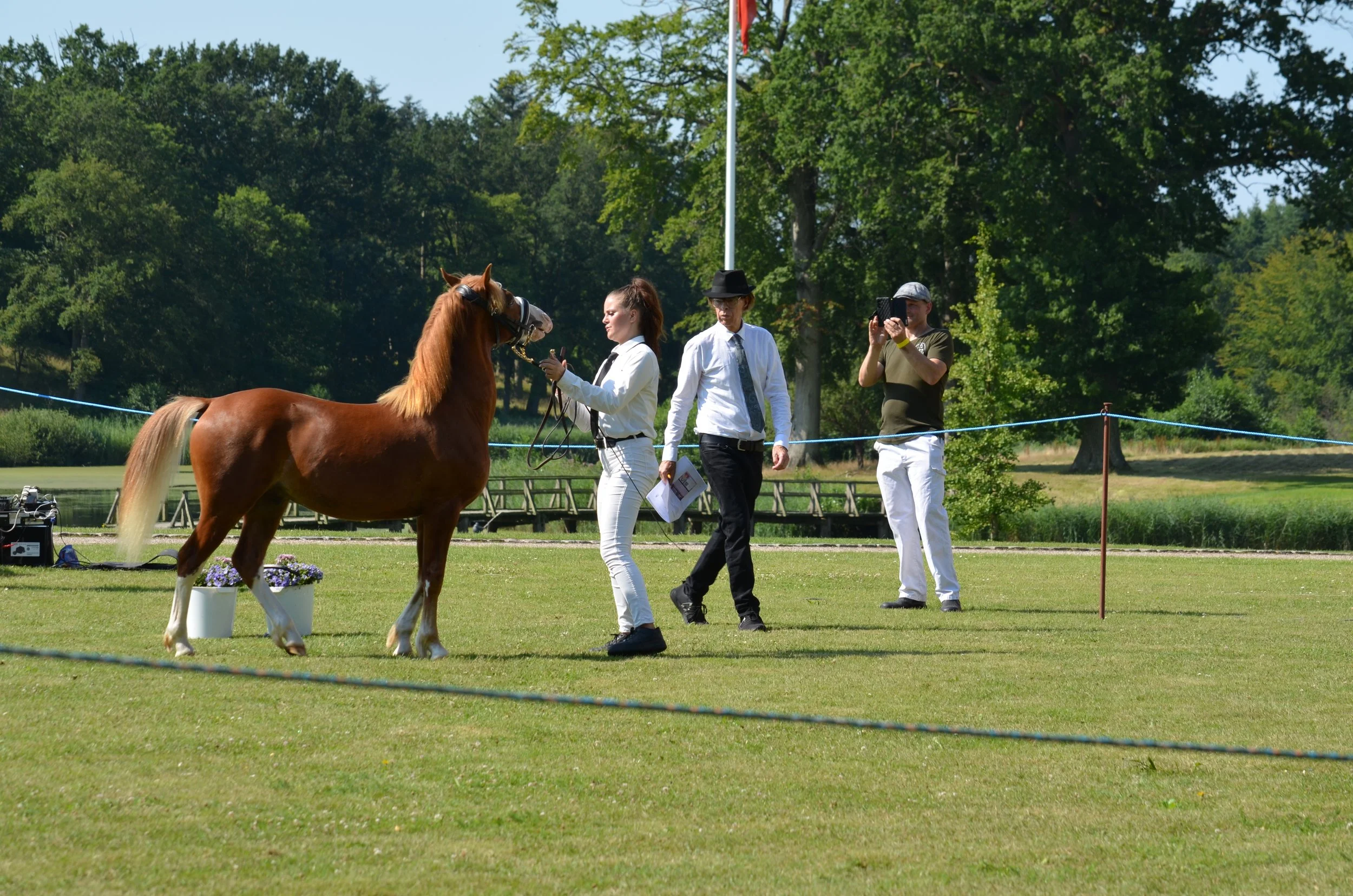 DSC_3802.JPG