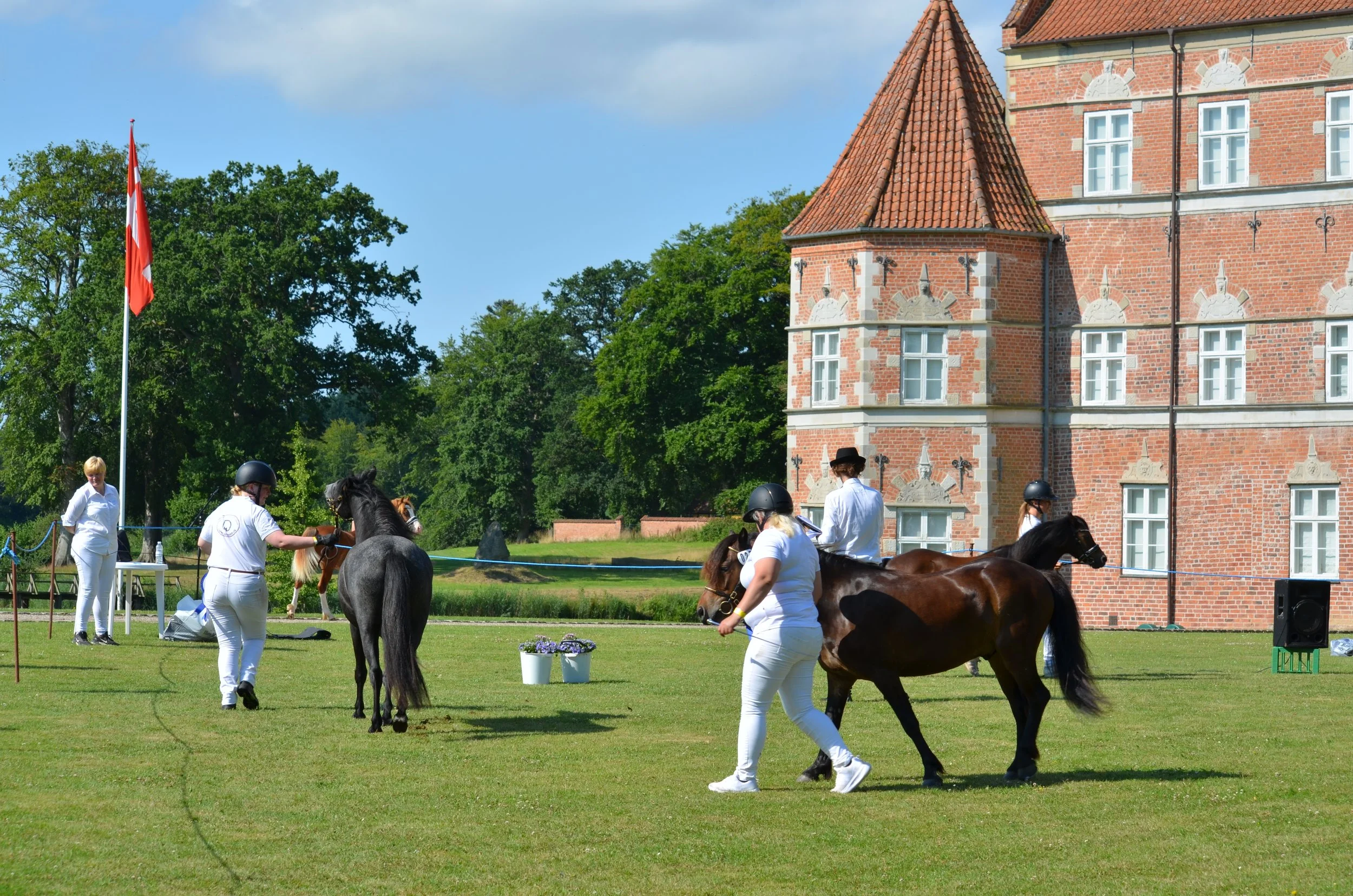 DSC_3762.JPG