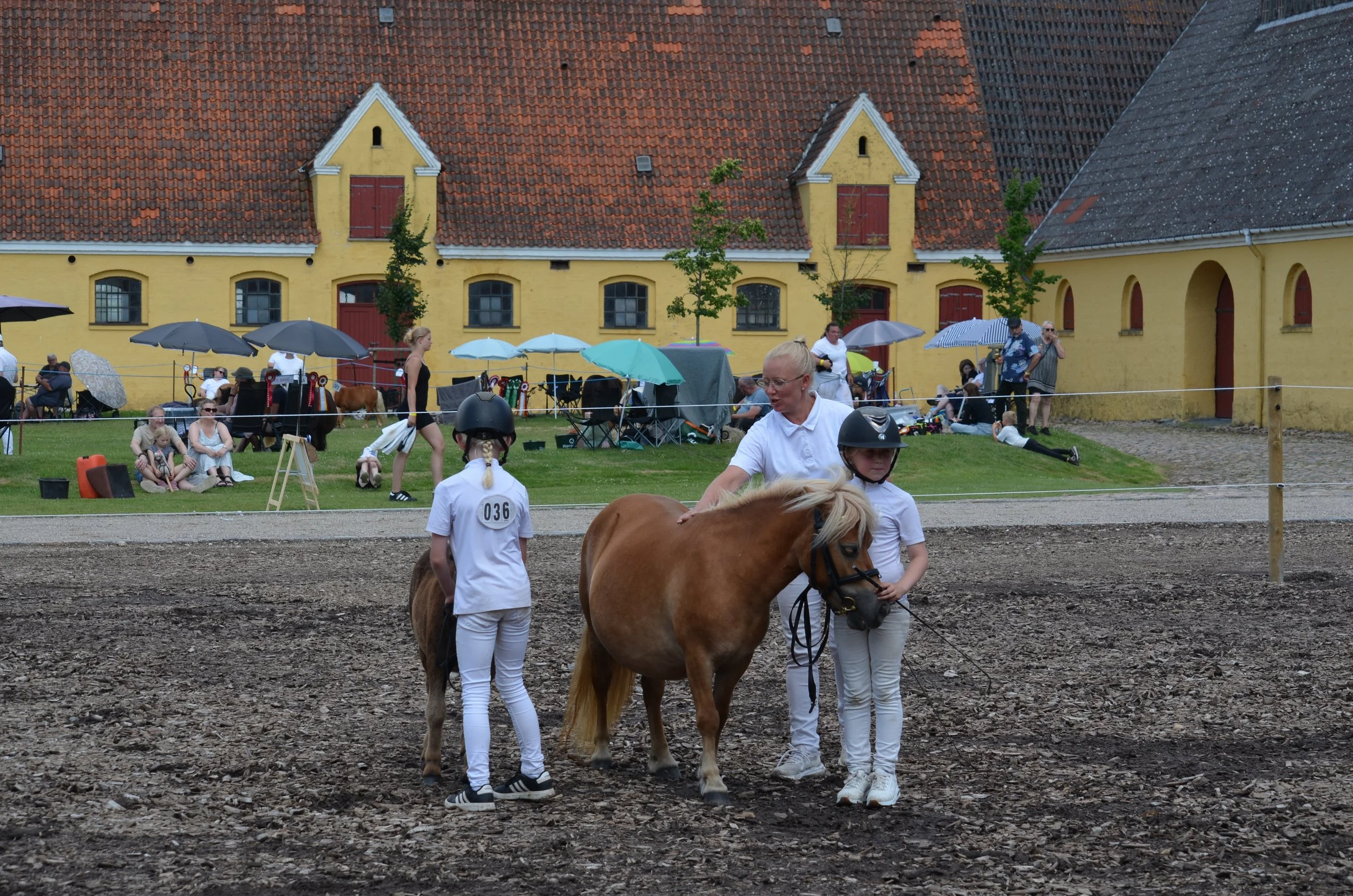 DSC_3870.JPG