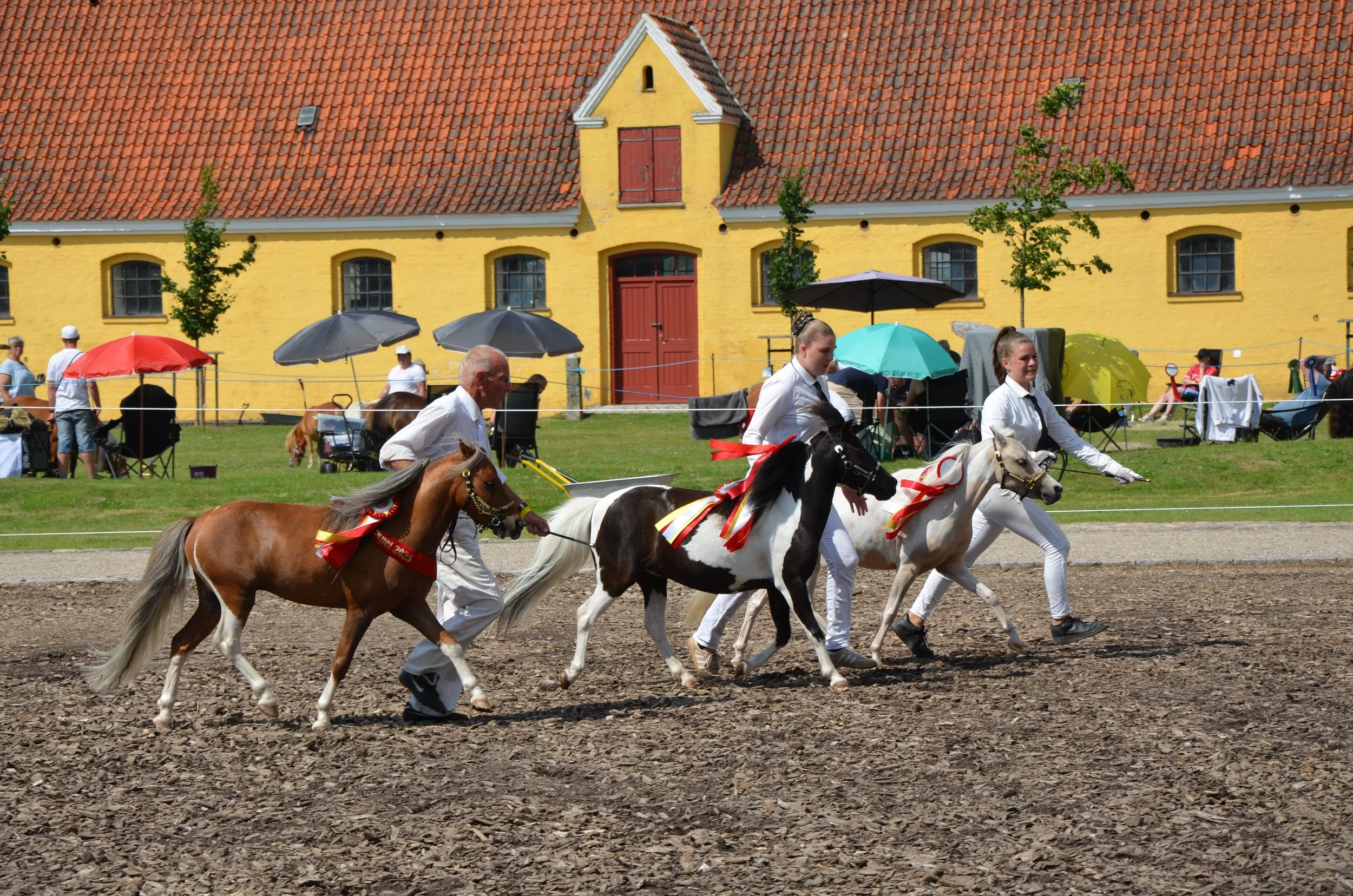 DSC_3954.JPG