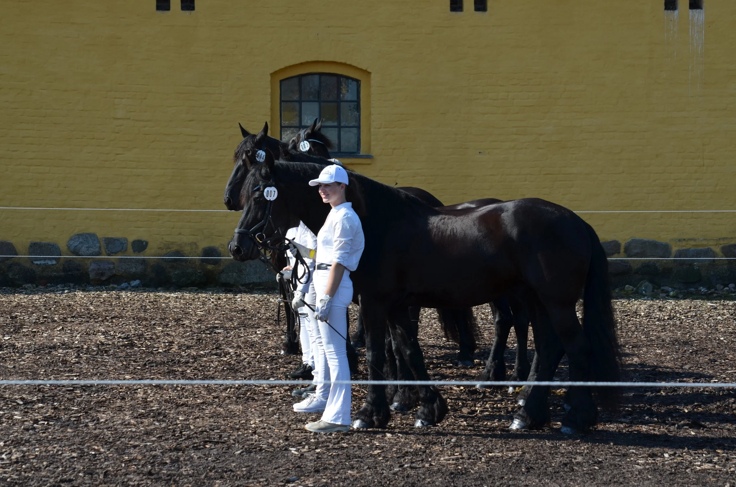 DSC_3715.JPG