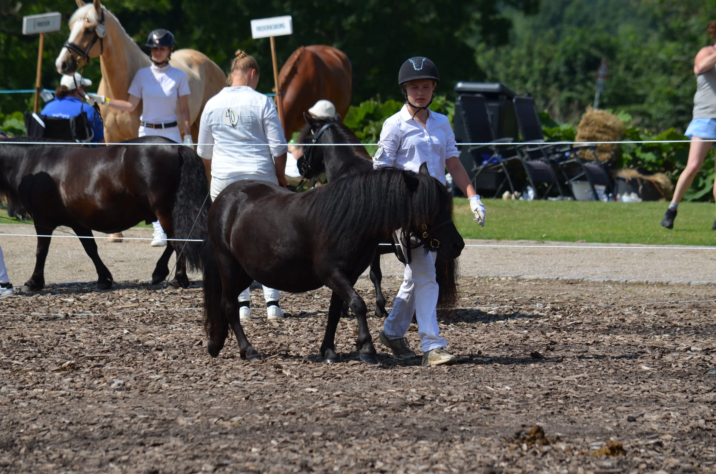 DSC_3926.JPG