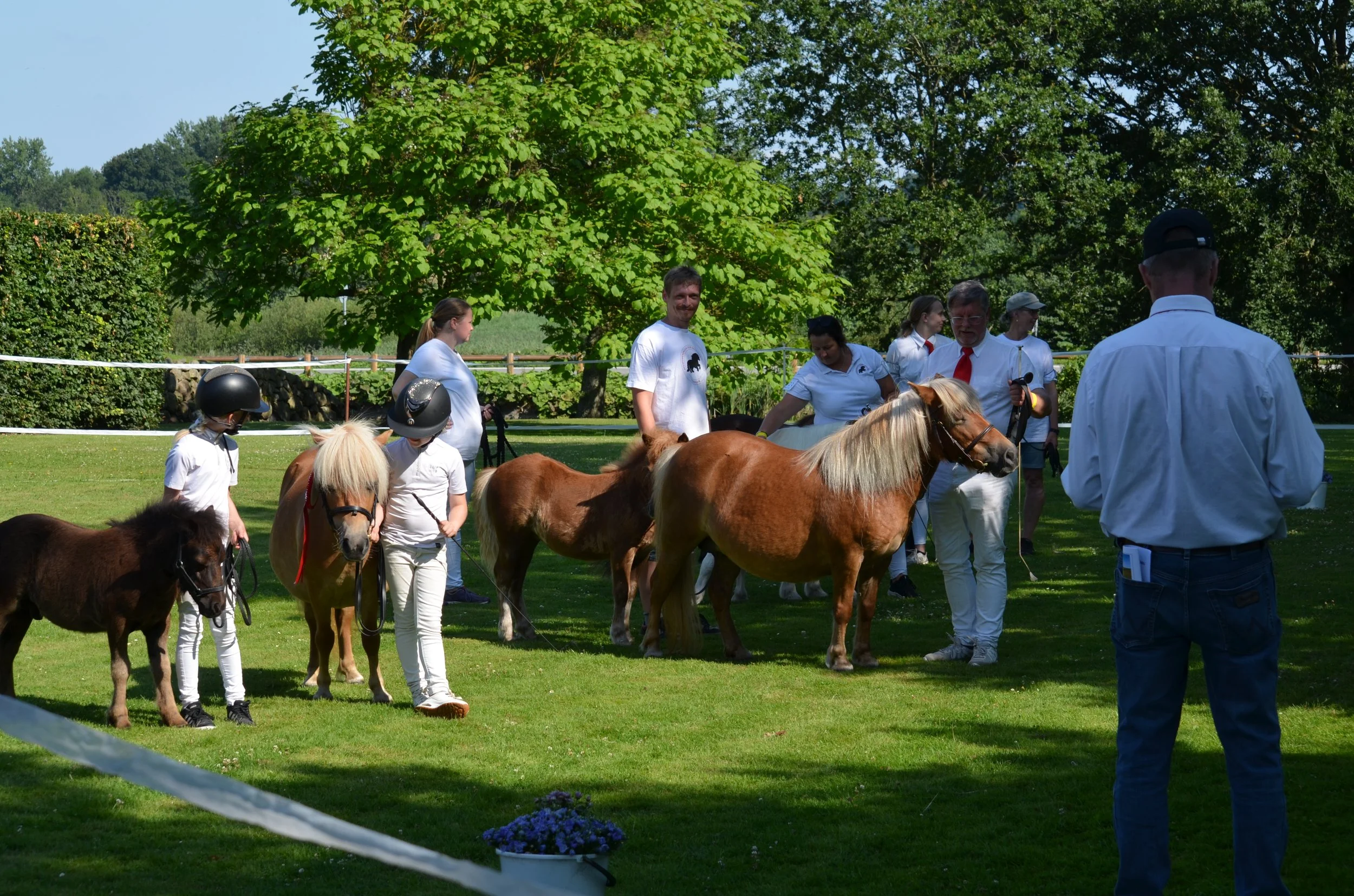 DSC_3766.JPG