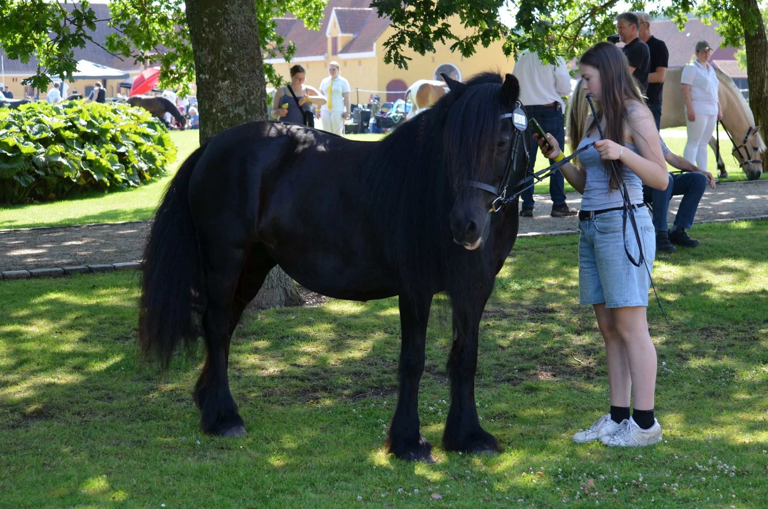 DSC_3805.JPG