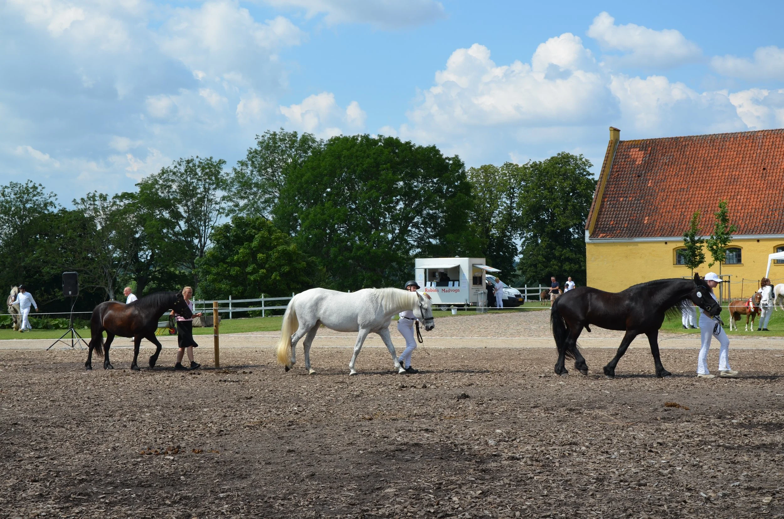 DSC_3980.JPG