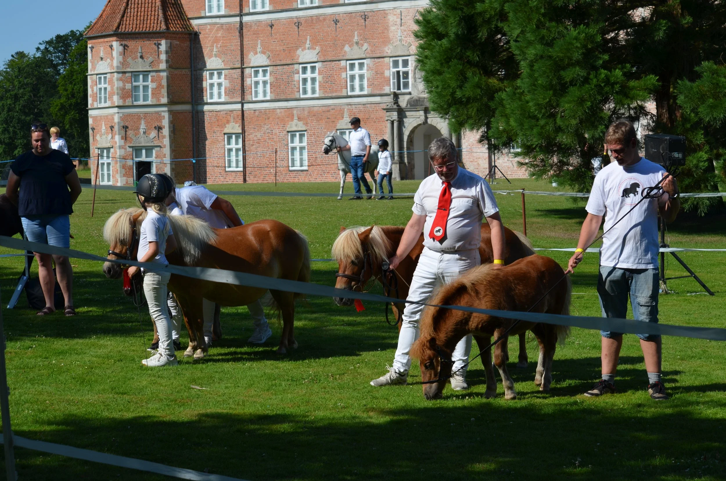 DSC_3769.JPG