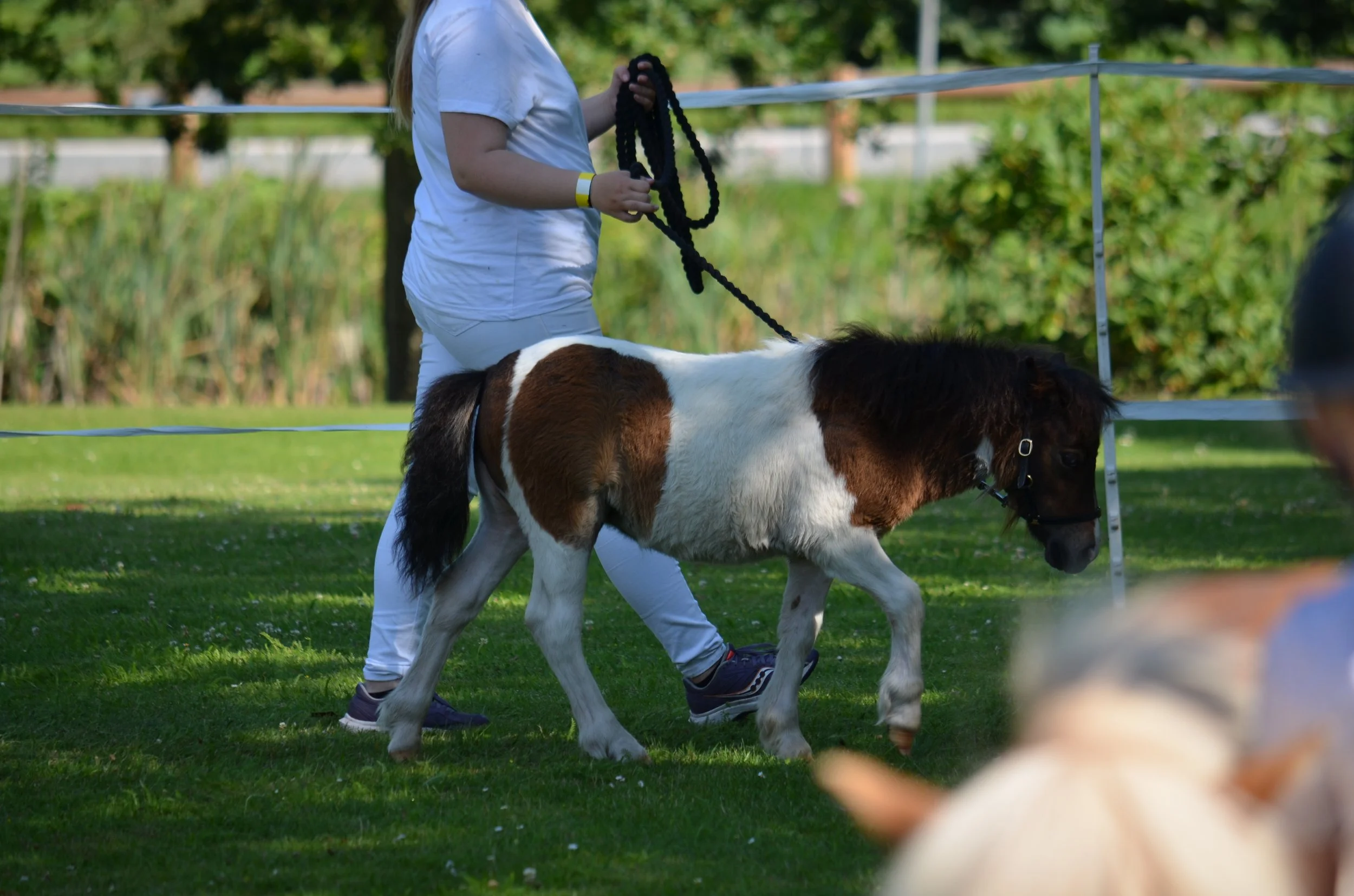 DSC_3792.JPG