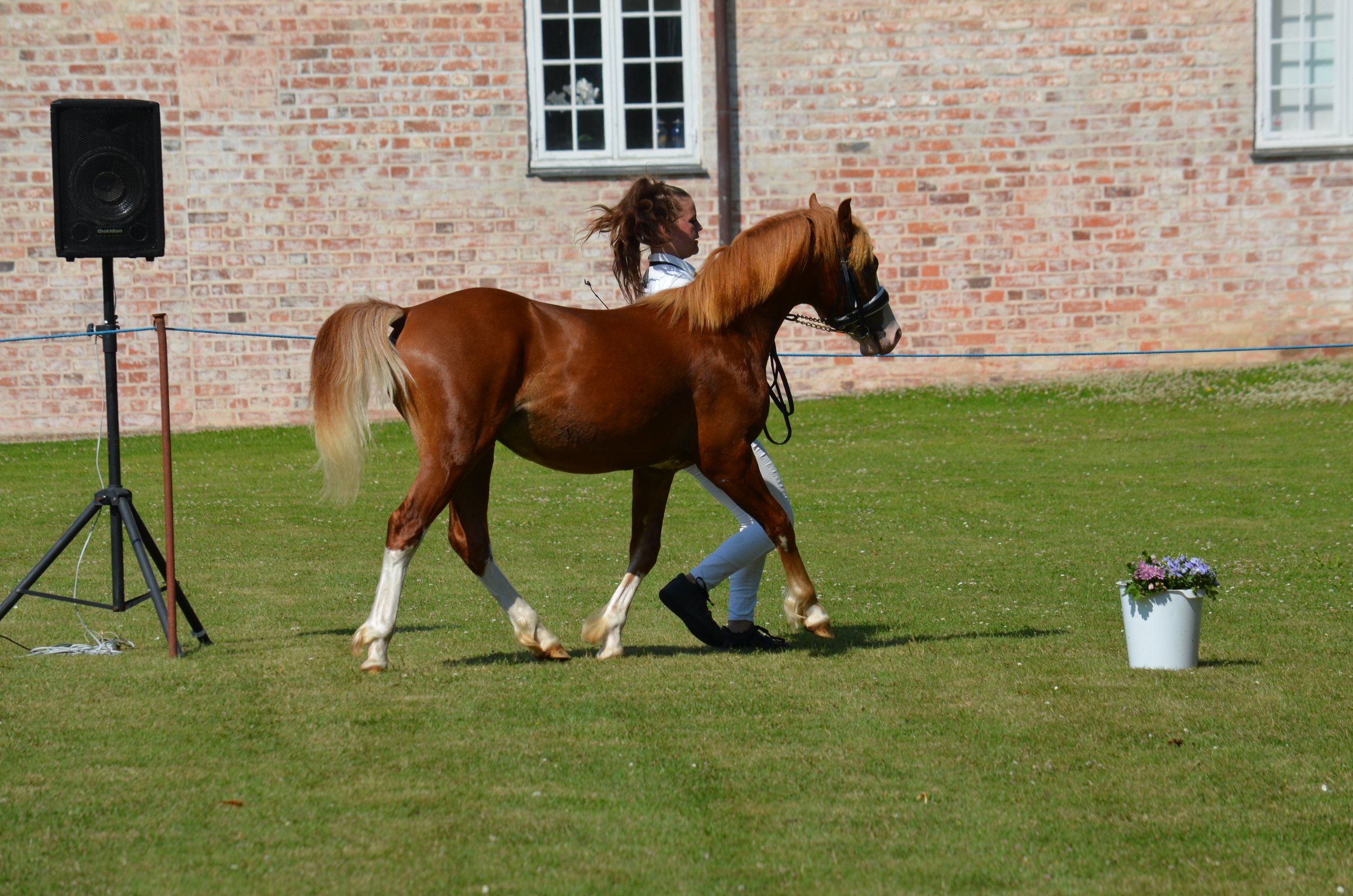 DSC_3811.JPG