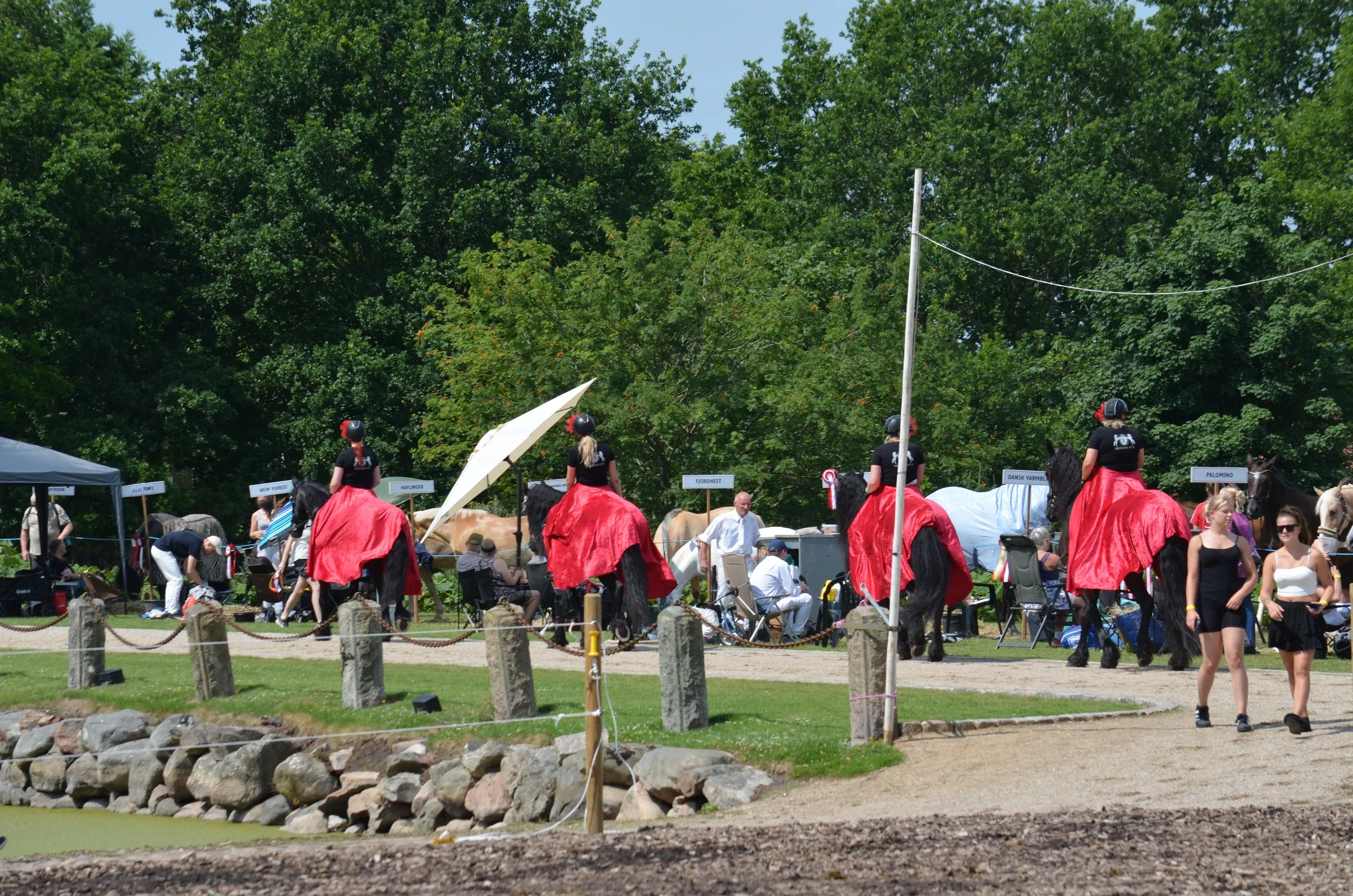 DSC_3862.JPG