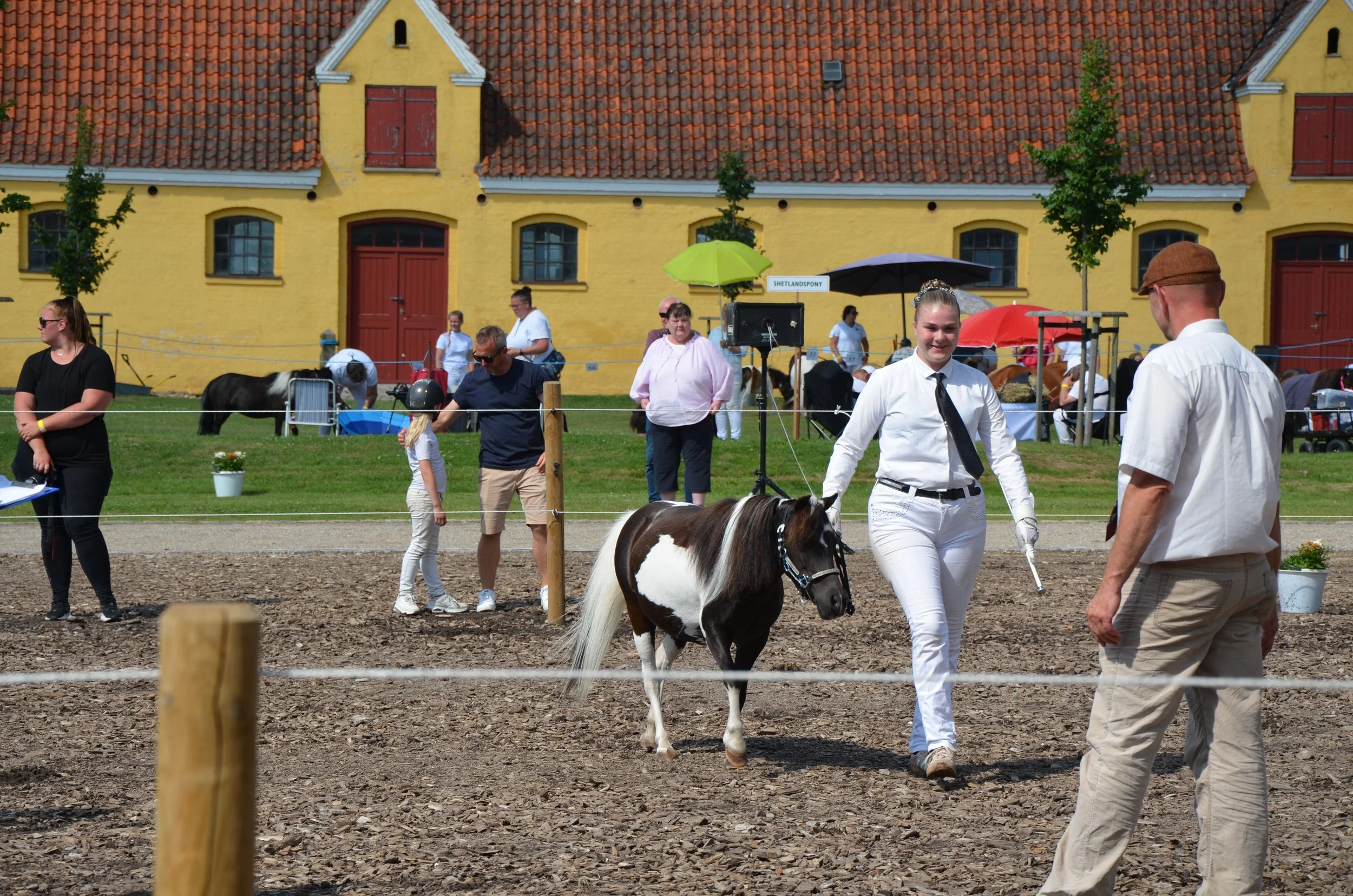 DSC_4001.JPG