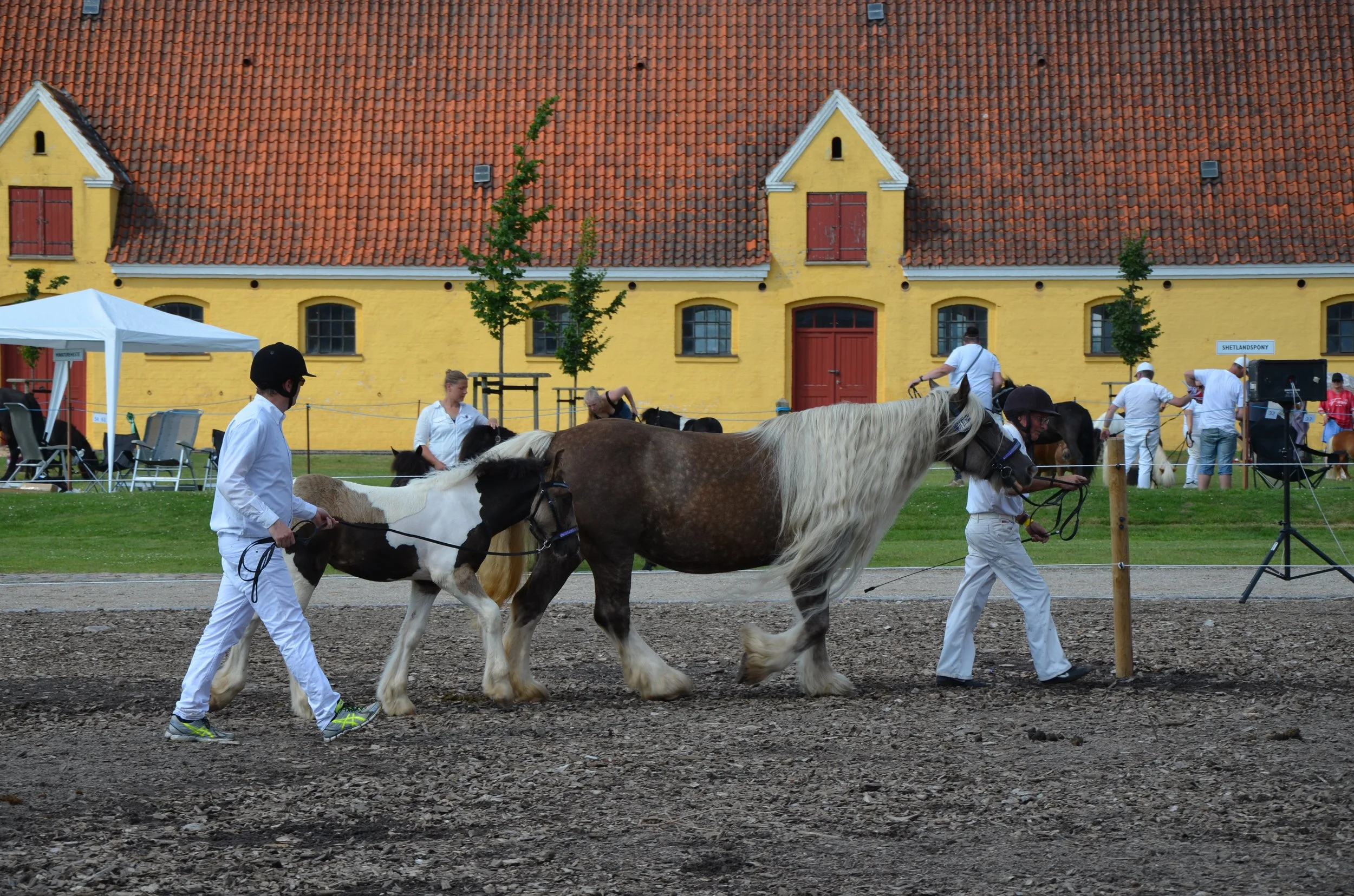 DSC_4026.JPG