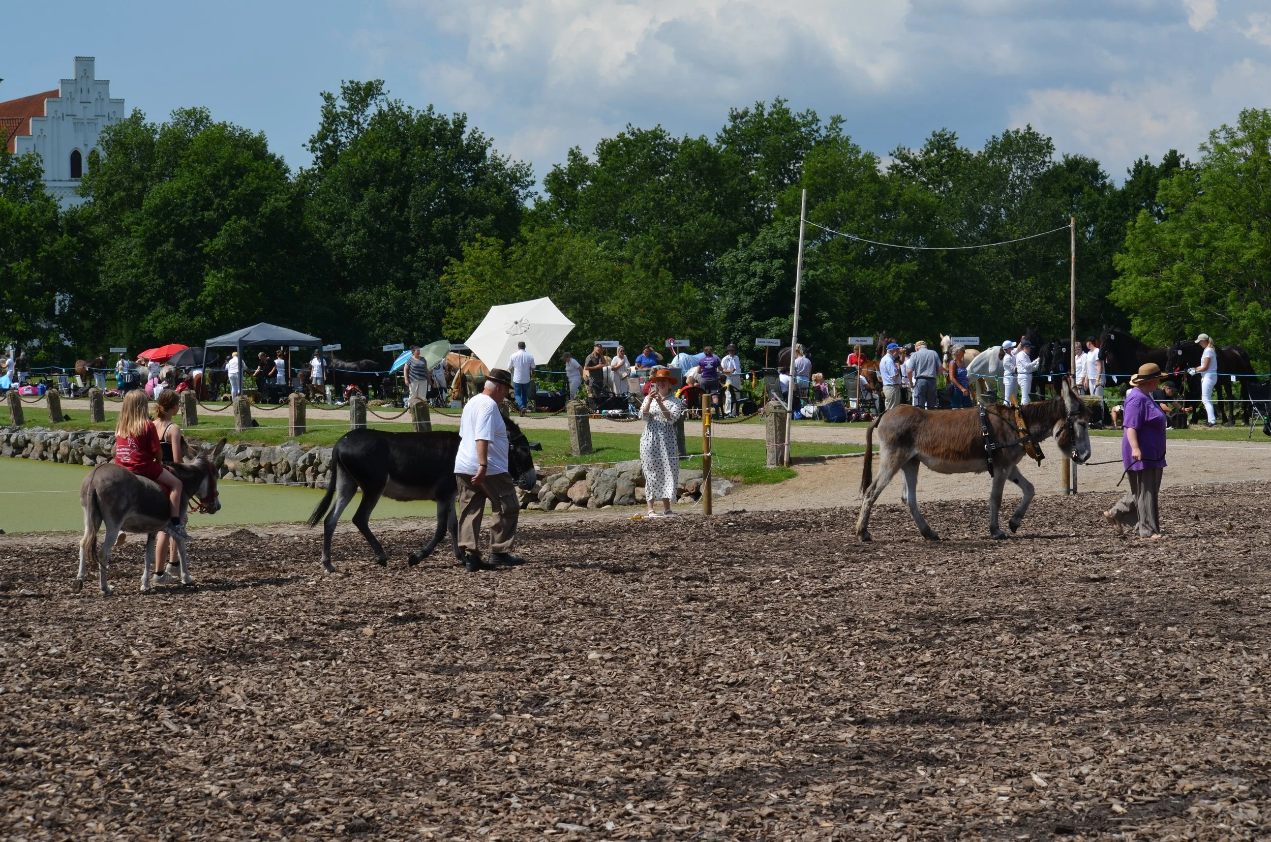 DSC_3895.JPG