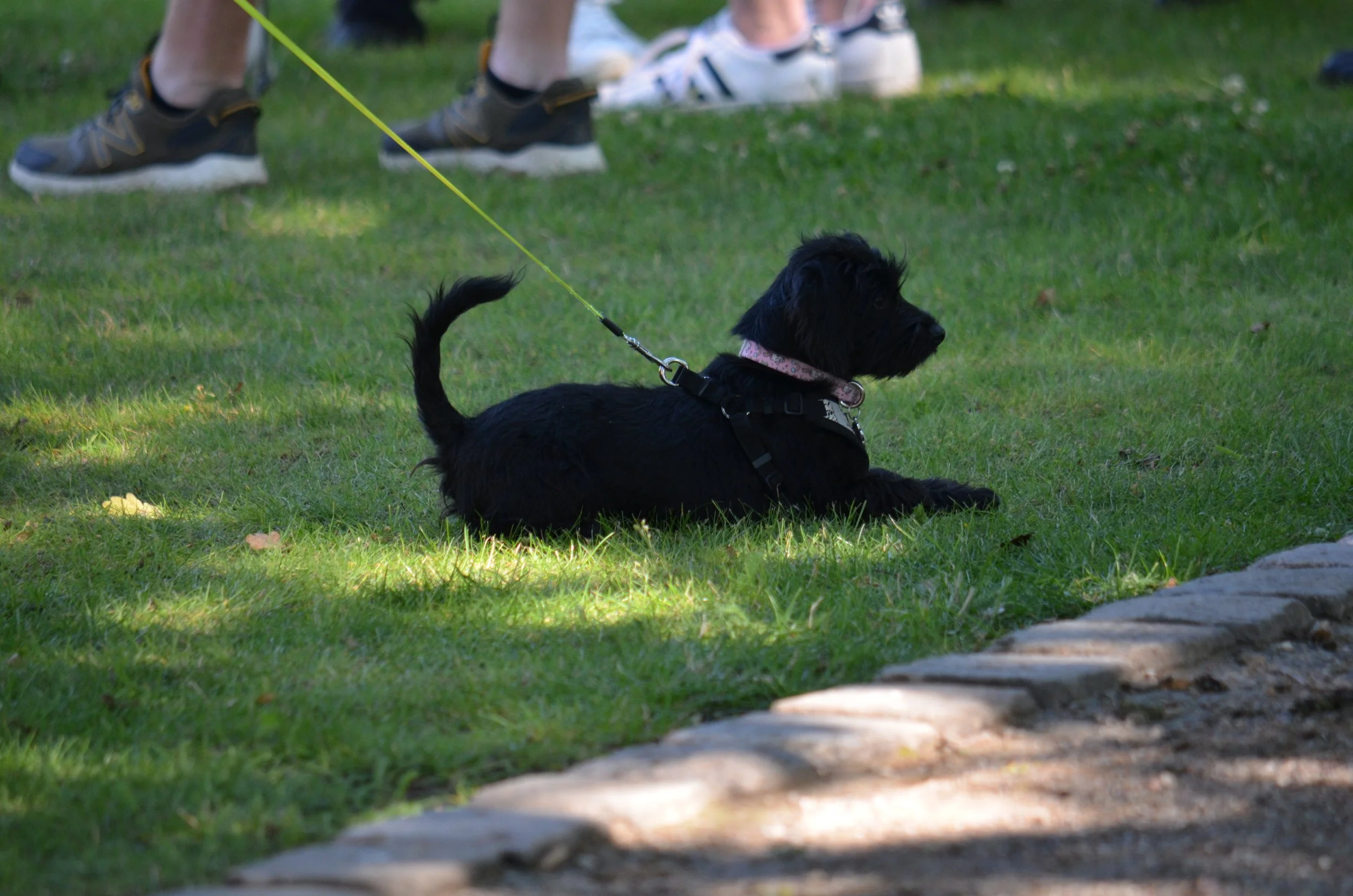 DSC_3787.JPG