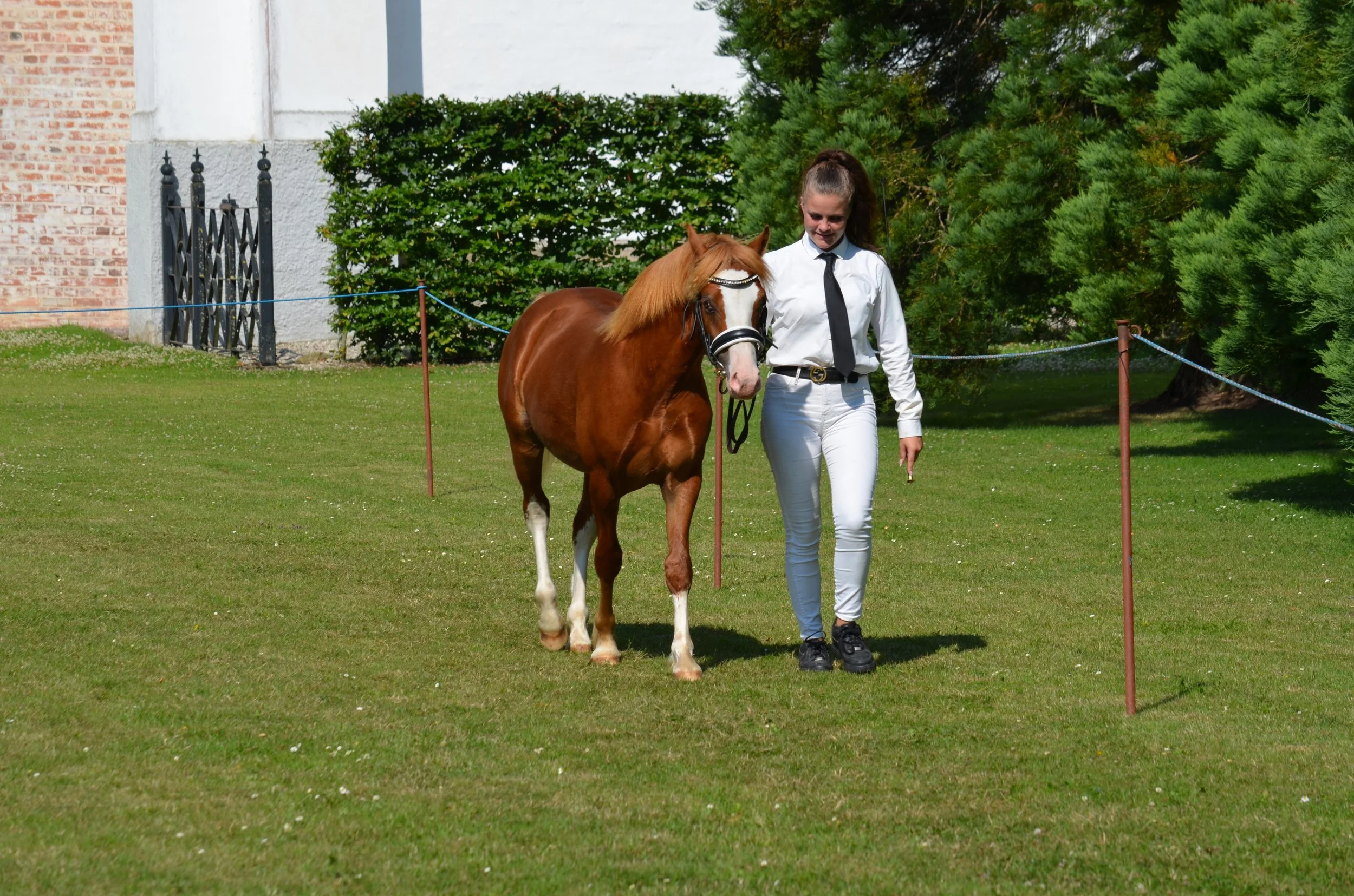DSC_3797.JPG