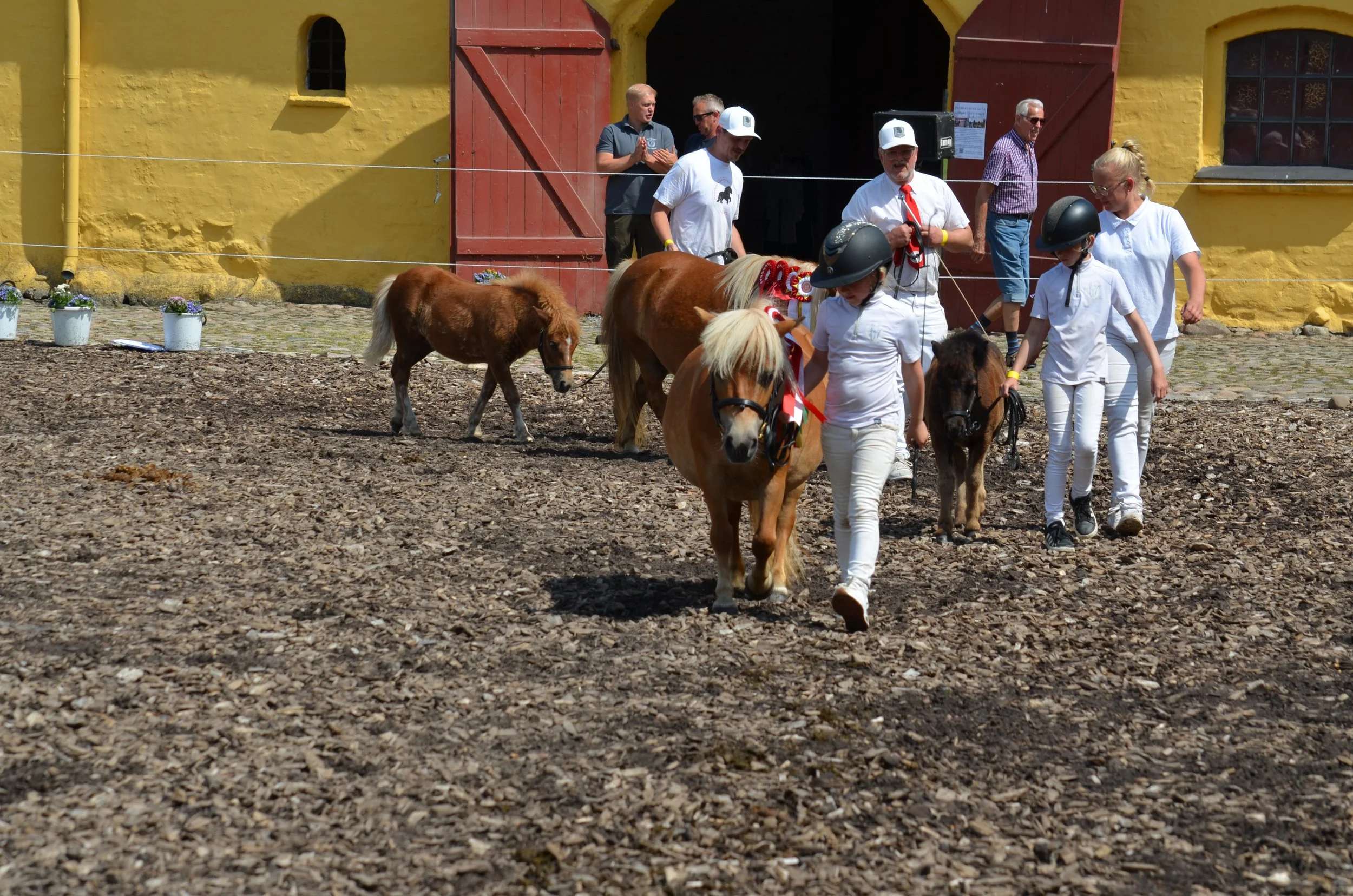 DSC_3916.JPG