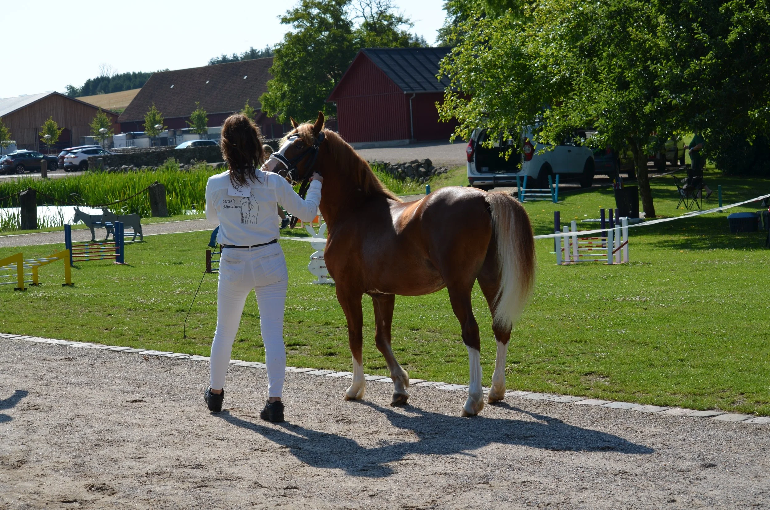 DSC_3757.JPG
