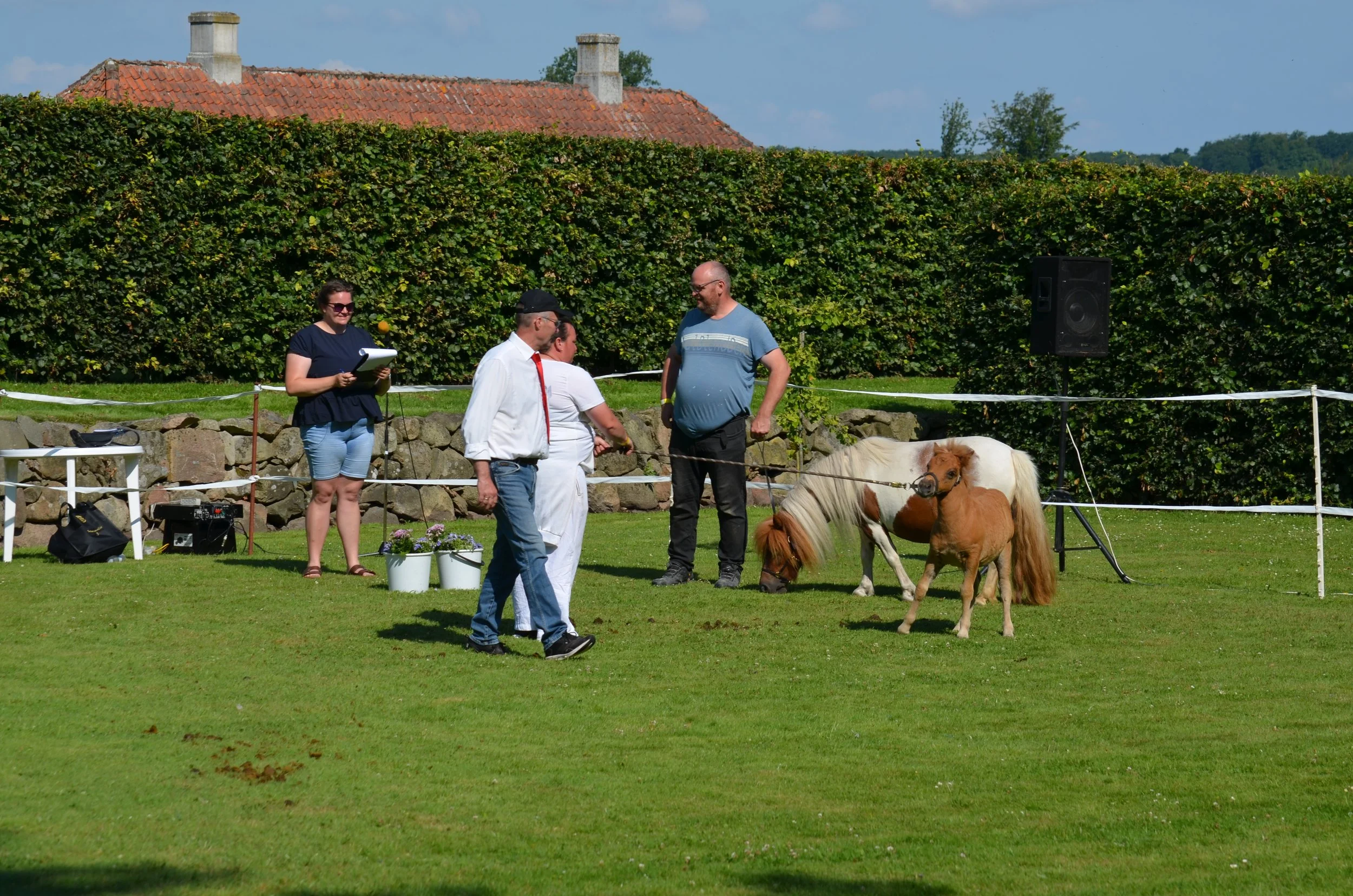 DSC_3786.JPG