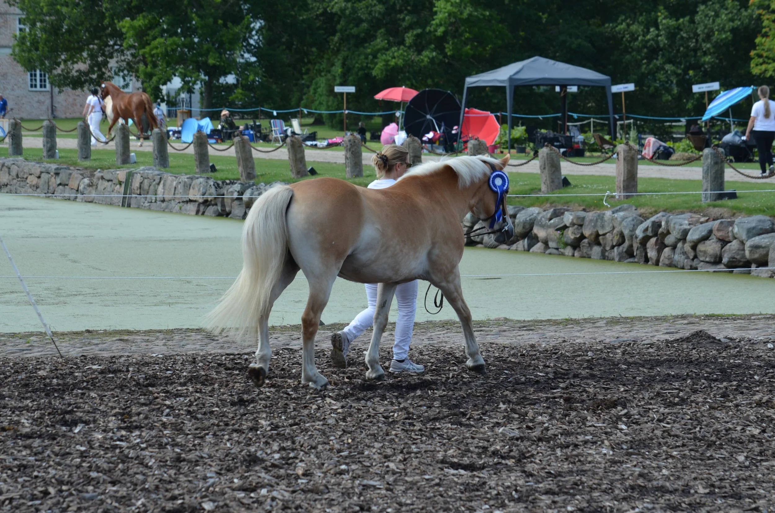 DSC_3907.JPG